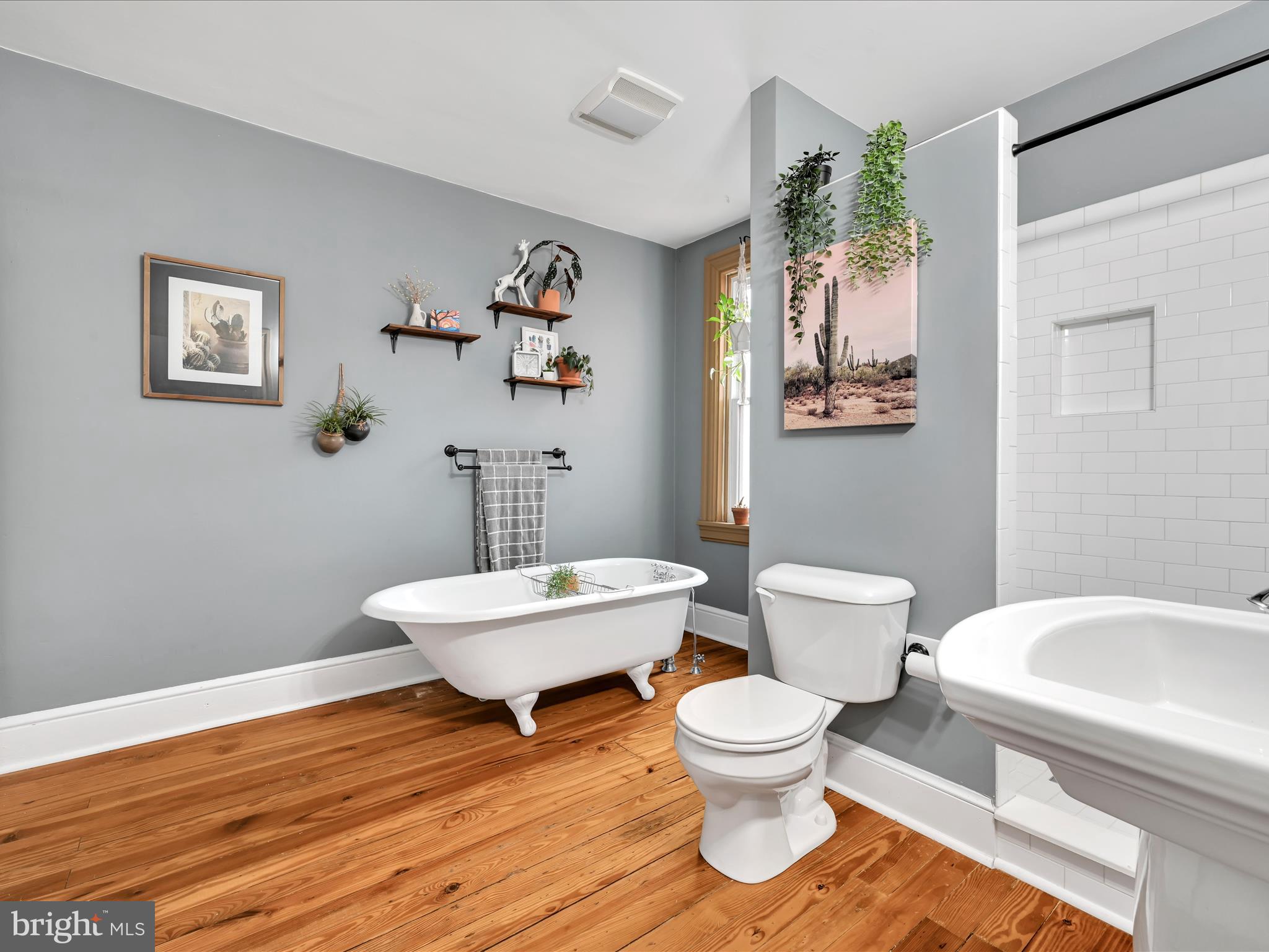 CHESTNUT HILL - Residential