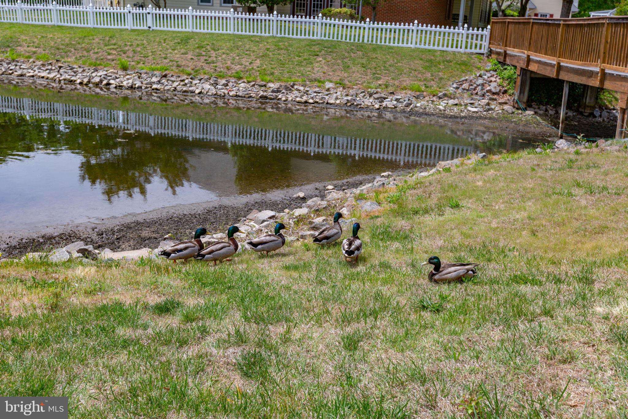 SUMMERLAKE - Residential