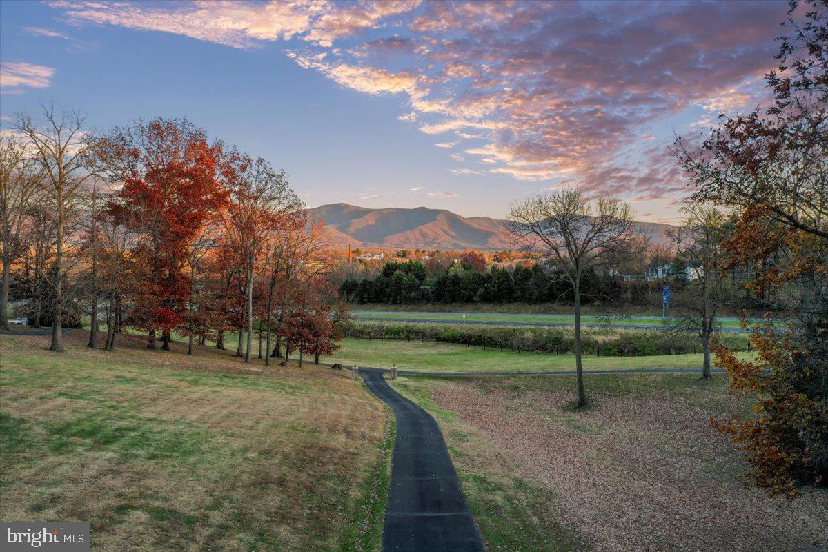 LURAY - Commercial Sale