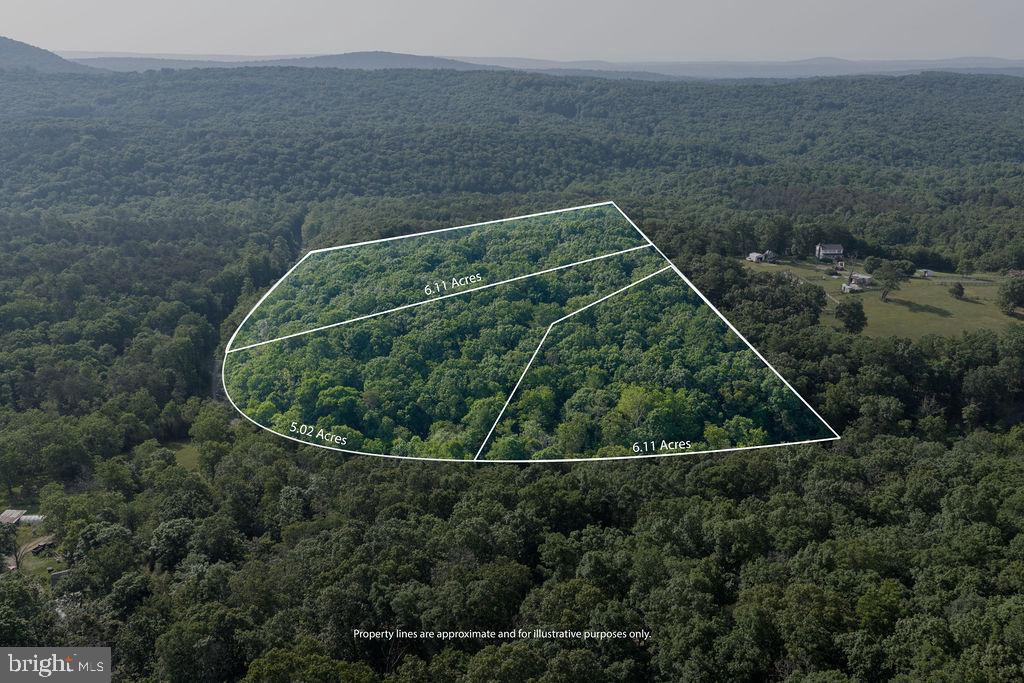 The rural America many people desire is available on state maintained Pack Horse Road.  There are 3 lots being sold separately and this 6.11 lot A is wooded, has a Frederick County cert letter (see documents from health department however buyer should do due diligence).  Unrestricted and so think about the possibilities for a homestead, simple get away to enjoy quiet and tranquility, and/or the new concept of a tiny home!  Driveway is a little washed out so recommend 4 wheel drive or walk up from Pack Horse Road.