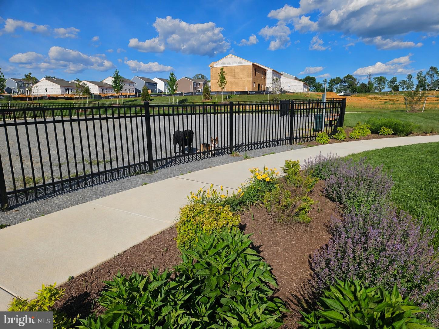 STONE SPRING - Residential