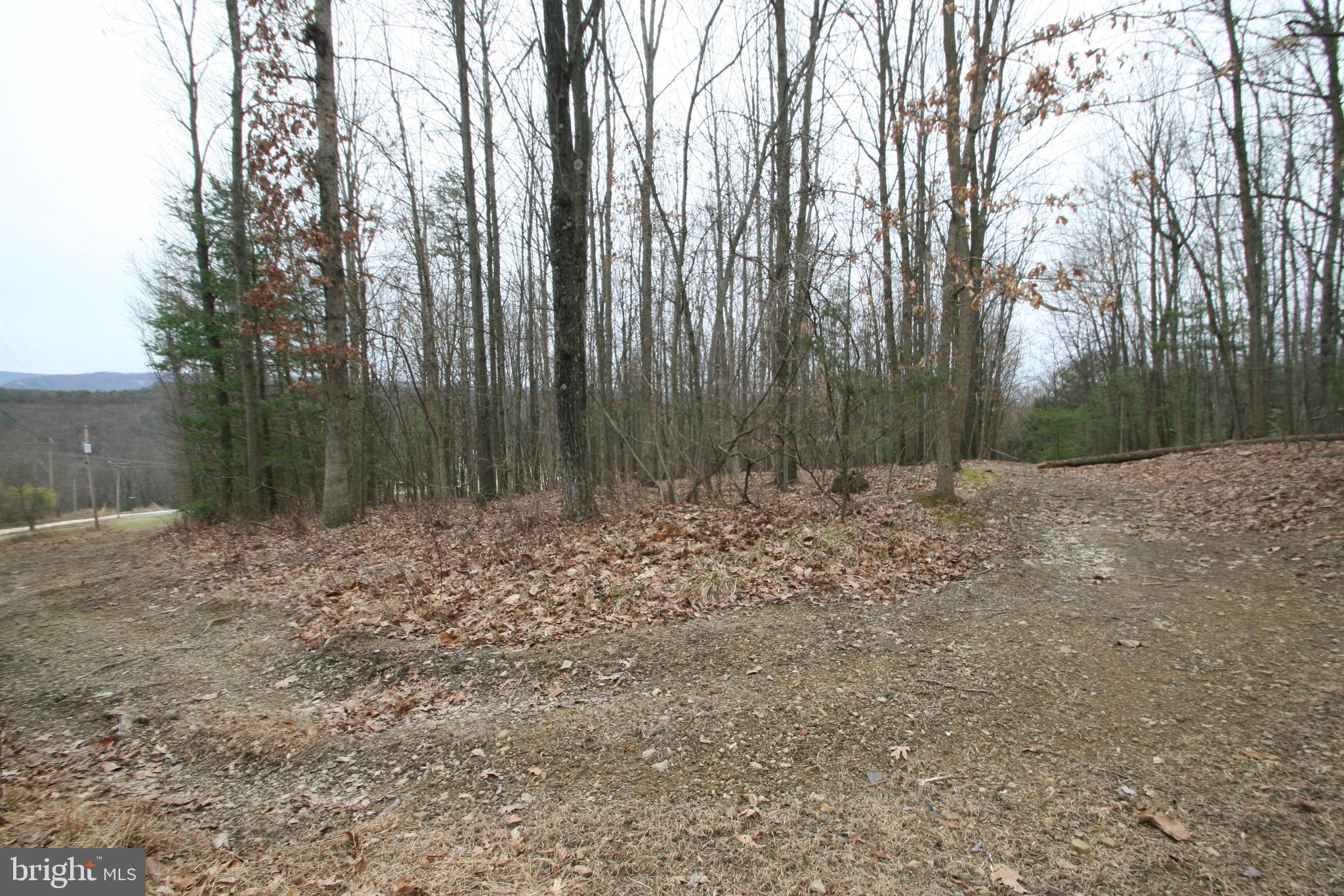 A recreational property close to the East Broad Top Railroad. A short distance to Raystown Lake. An abundance of trees for lots of shade.