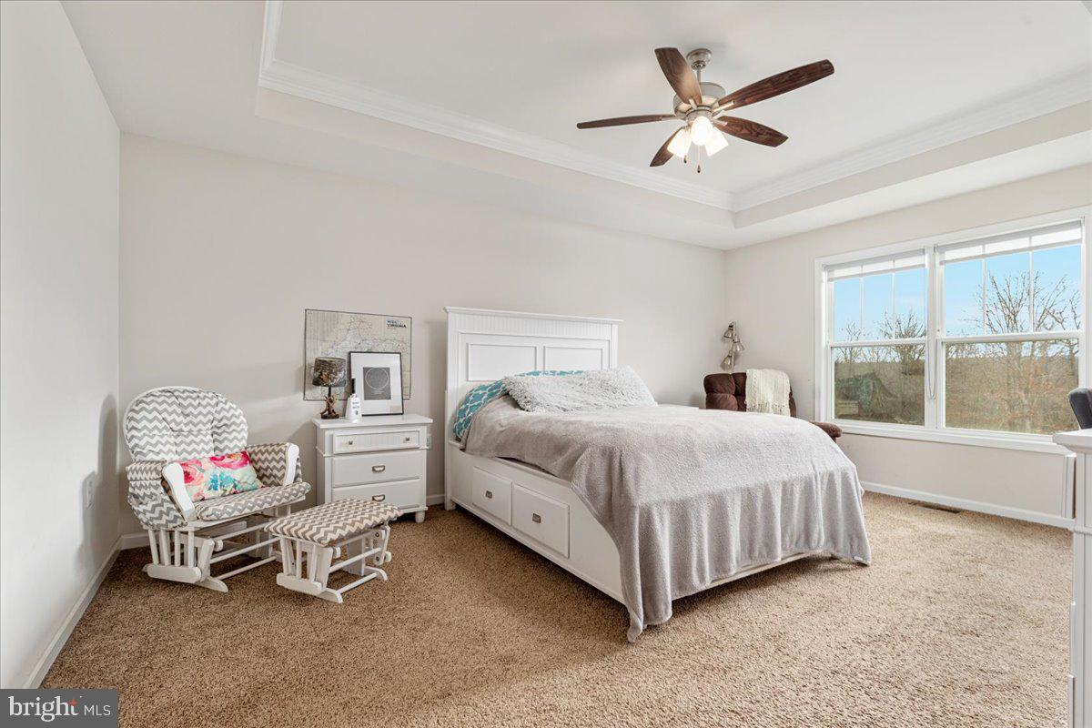 CHESTNUT HILL ESTATES - Residential