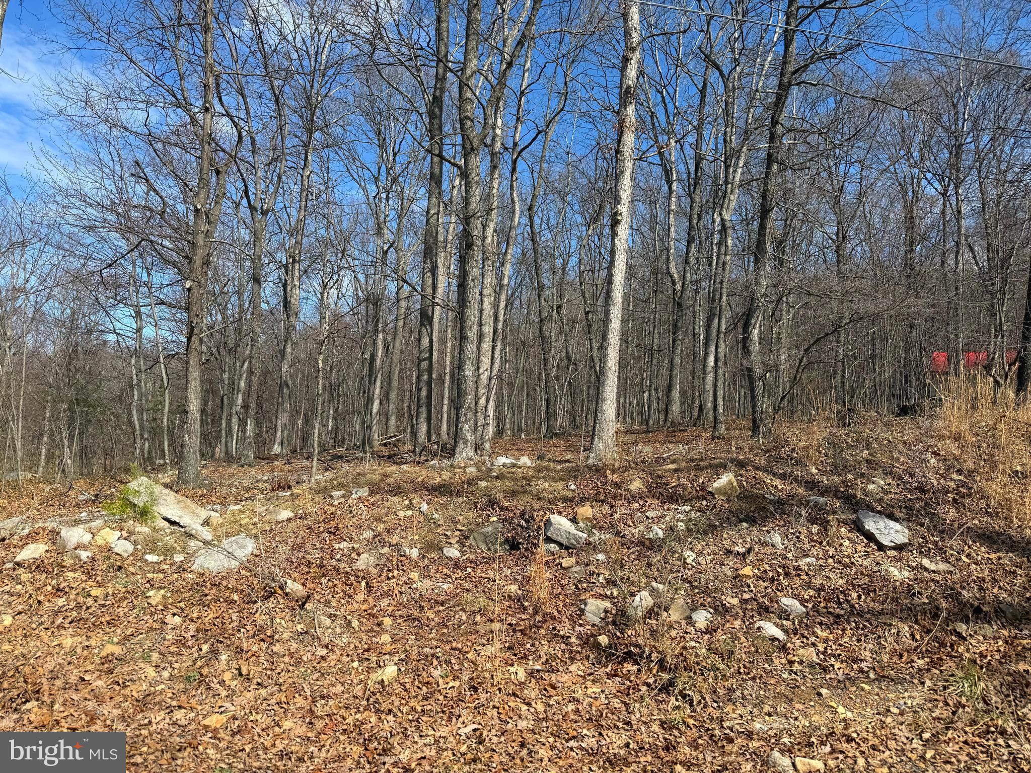 A great opportunity to purchase a little over 2 acres in Nathaniel Mountain Heights. You will feel like you are driving to the top of the world, but it is just a little over half of a mile from the main road. The lot makes for a great build site for your forever home, weekend get-away or camp. You can set up camp and take advantage of the easy 1.1 mile commute to the Nathaniel Mountain Wildlife Management Area. Nathaniel Mountain WMA offers over 10,000 acres of hunting, fishing, hiking and outdoor exploration of the beautiful, mountainous terrains of West Virginia. This property is convenient to the town of Romney where you can shop at locally owned shops, dine and enjoy the local flavors, take the Potomac Eagle Scenic Railroad for a picturesque ride through the valley while spotting eagles, or venture down to the South Branch Potomac River to float or fish. Plenty of recreational activities just down the road, all while enjoying the peace and privacy this property offers. It is just an hour's drive from I-81 in Winchester, VA or I-68 in Cumberland, MD, and only a 2-hour drive from Washington, DC and Dulles Airport.