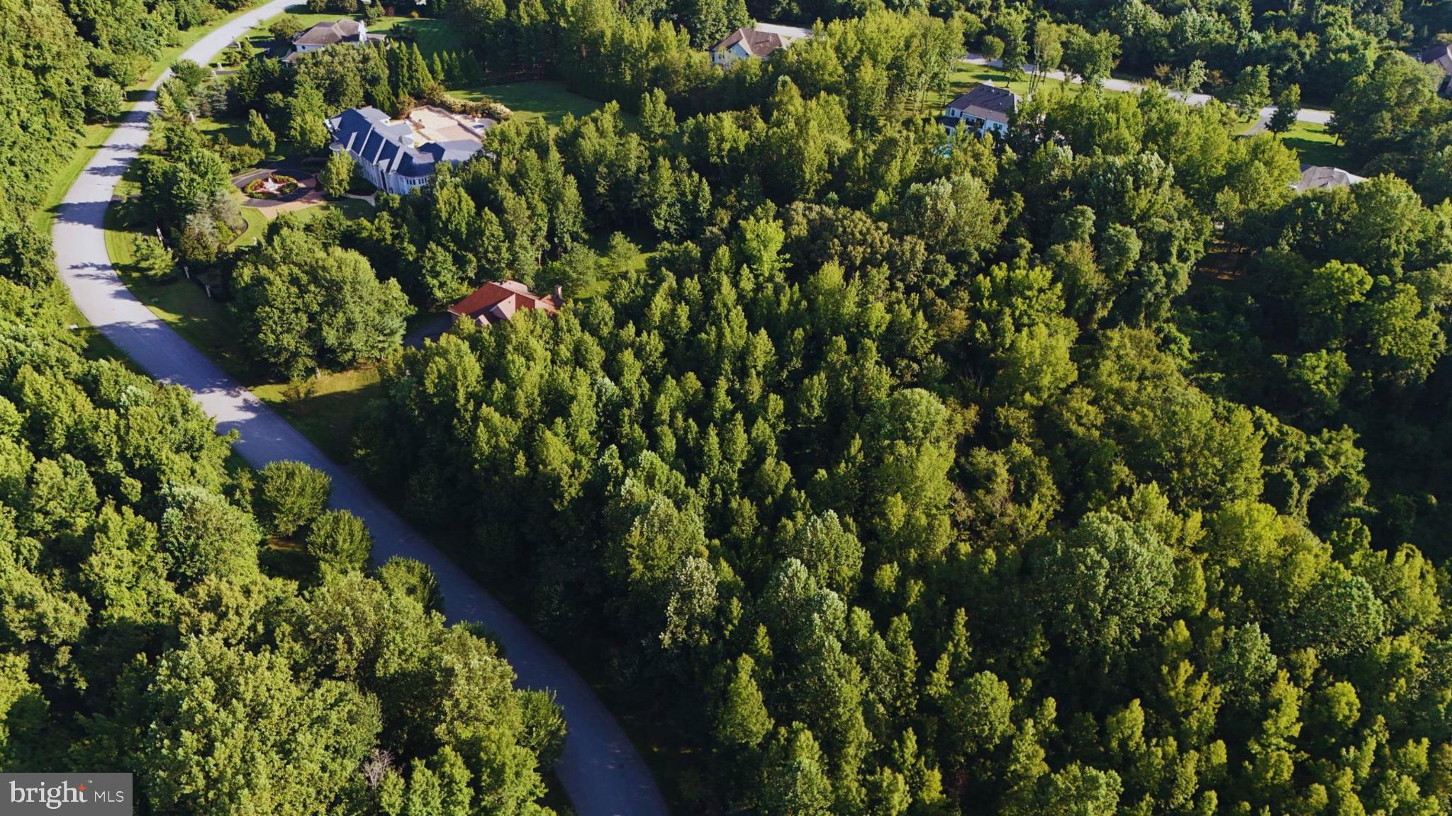WOODS OF WOODMORE - Residential