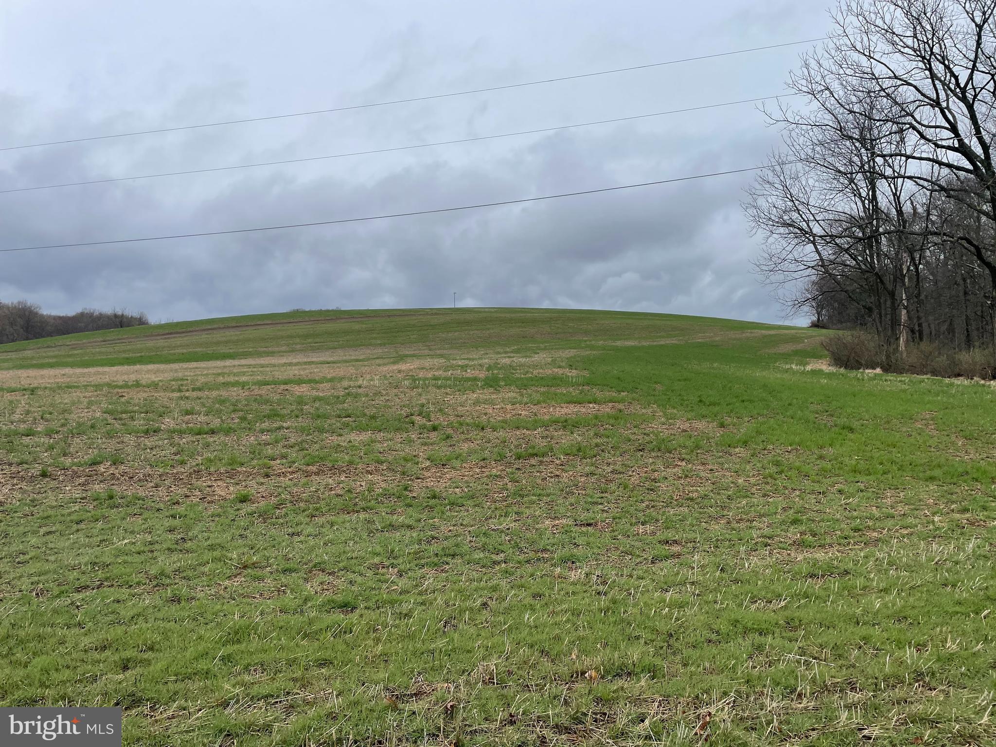 LYNN TWP - Land