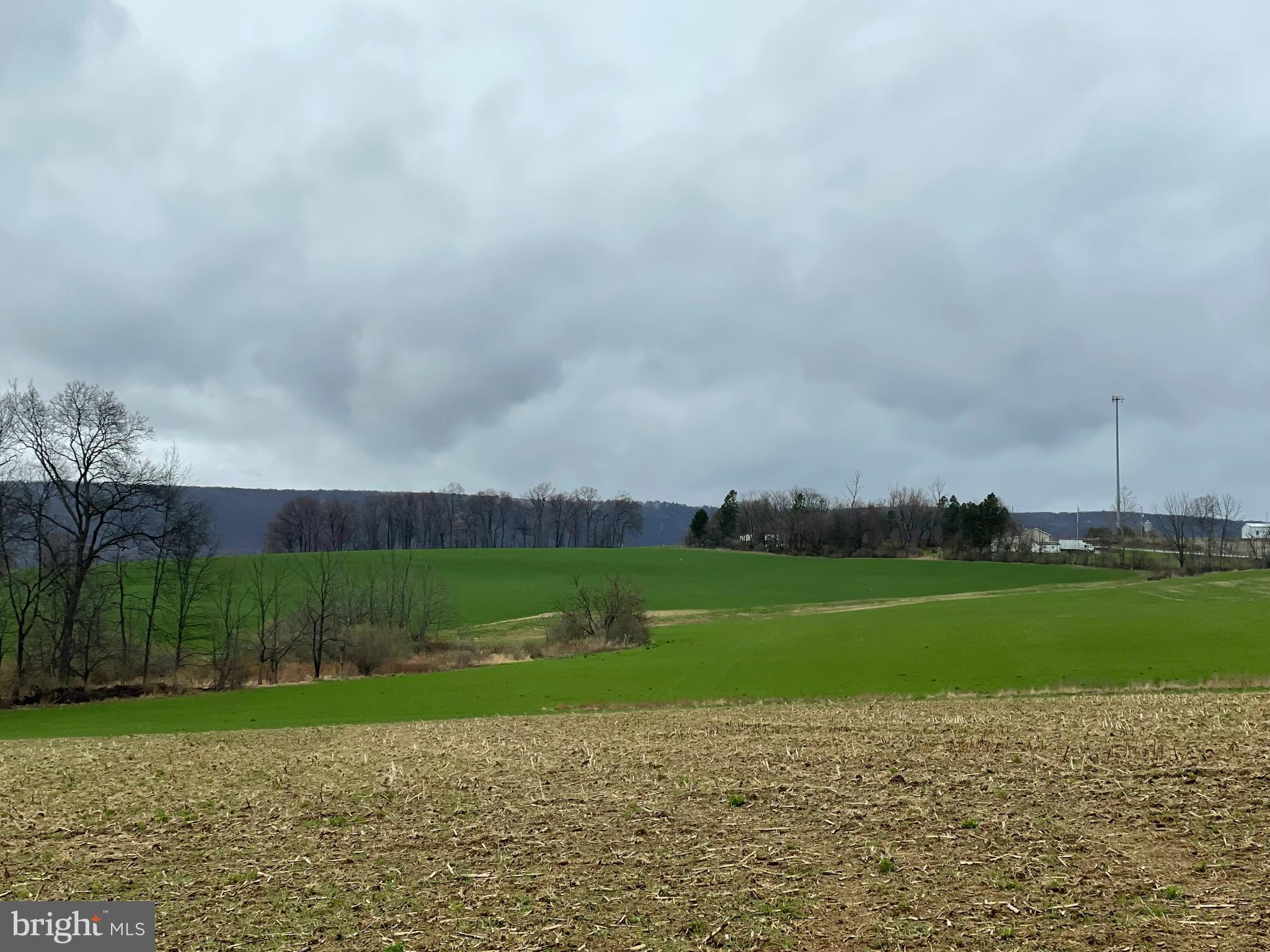 LYNN TWP - Land