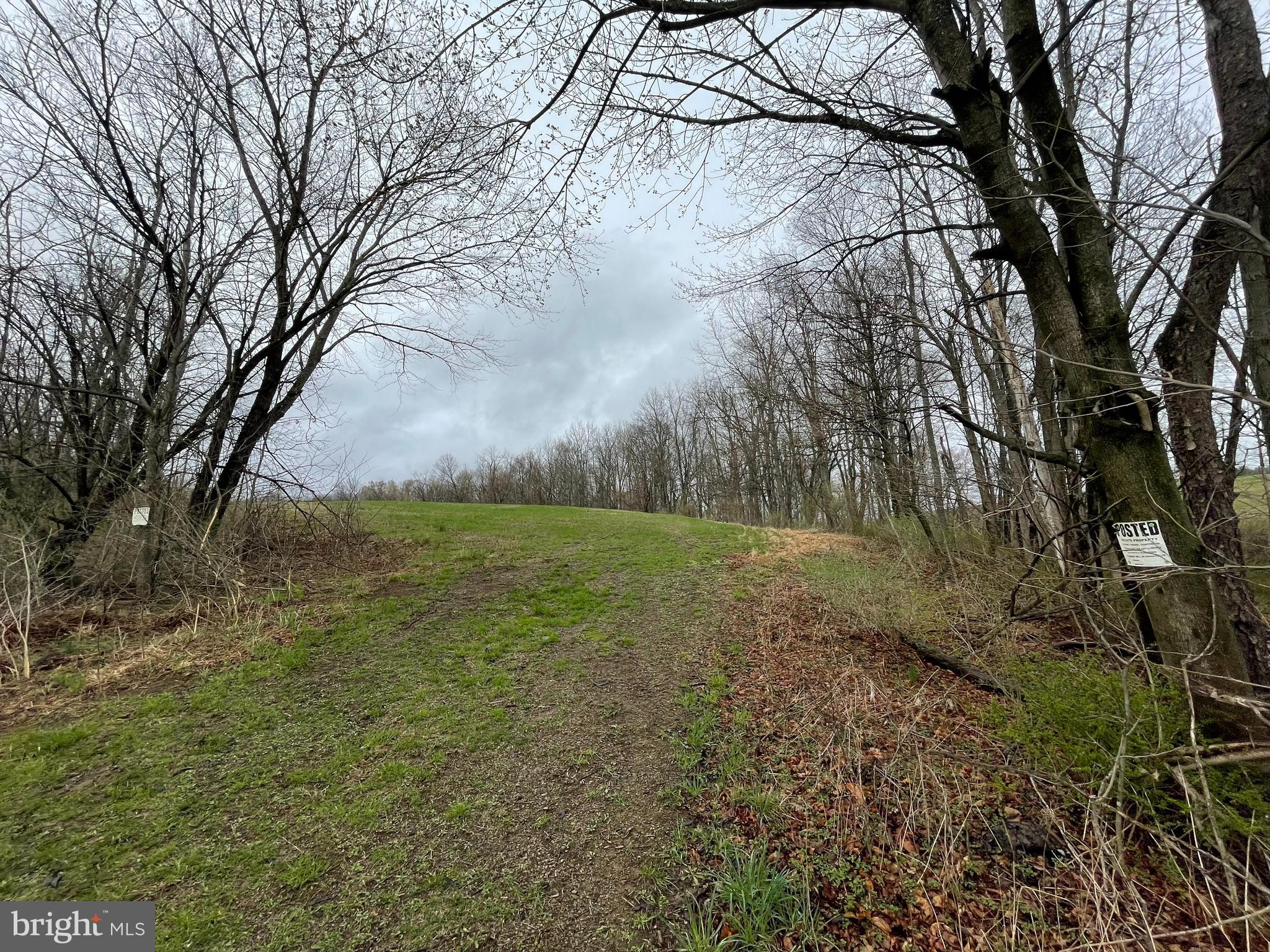 LYNN TWP - Land