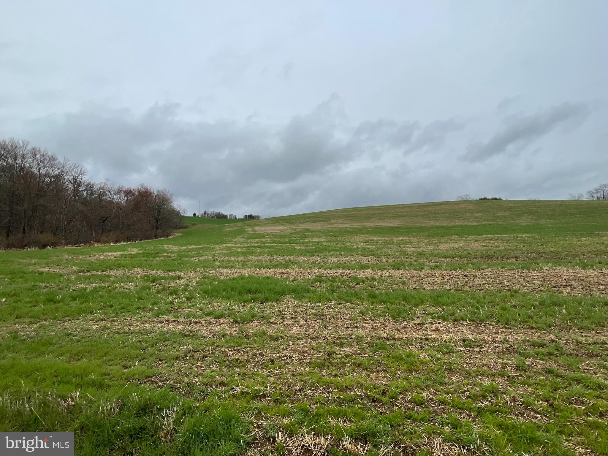 LYNN TWP - Land