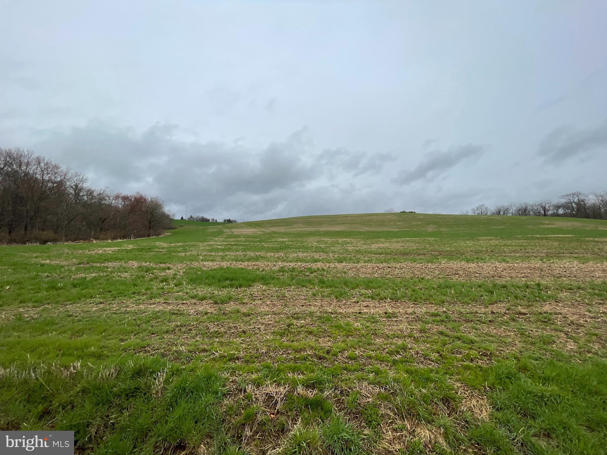 LYNN TWP - Land