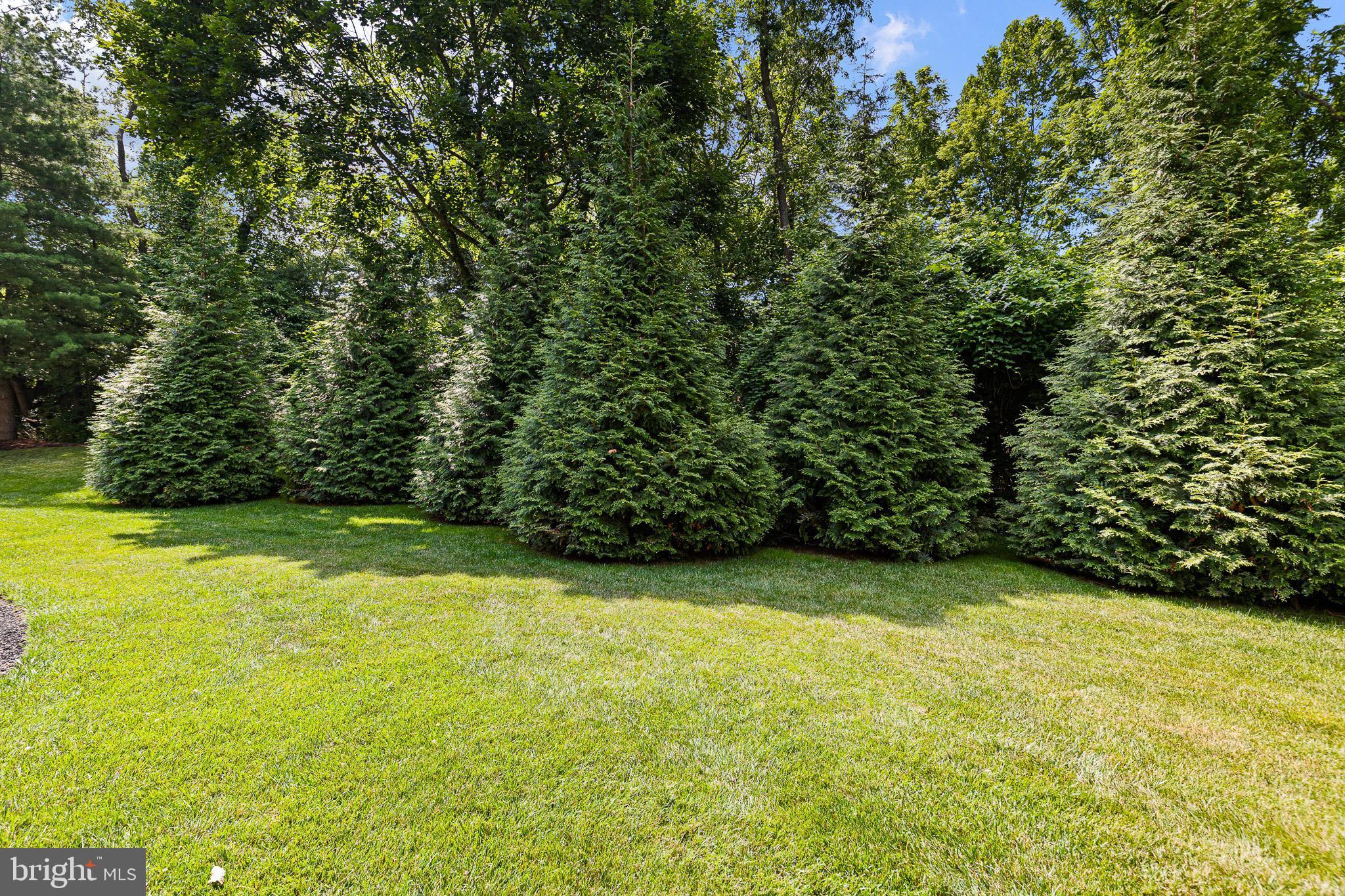 SCHOOLHOUSE LANE - Residential