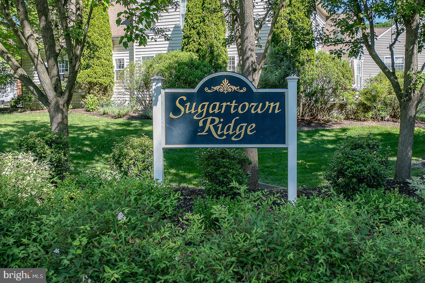 SUGARTOWN RIDGE - Residential