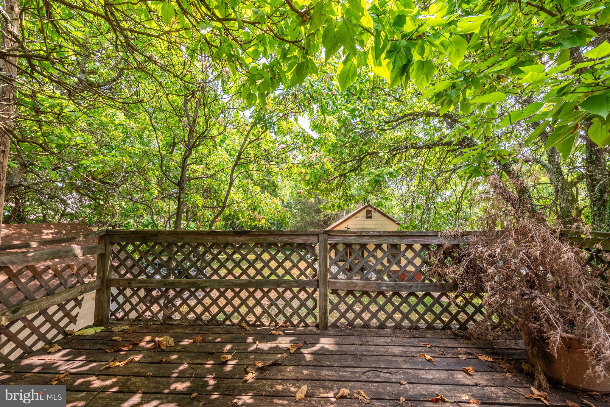 PARKVILLE - Residential Lease