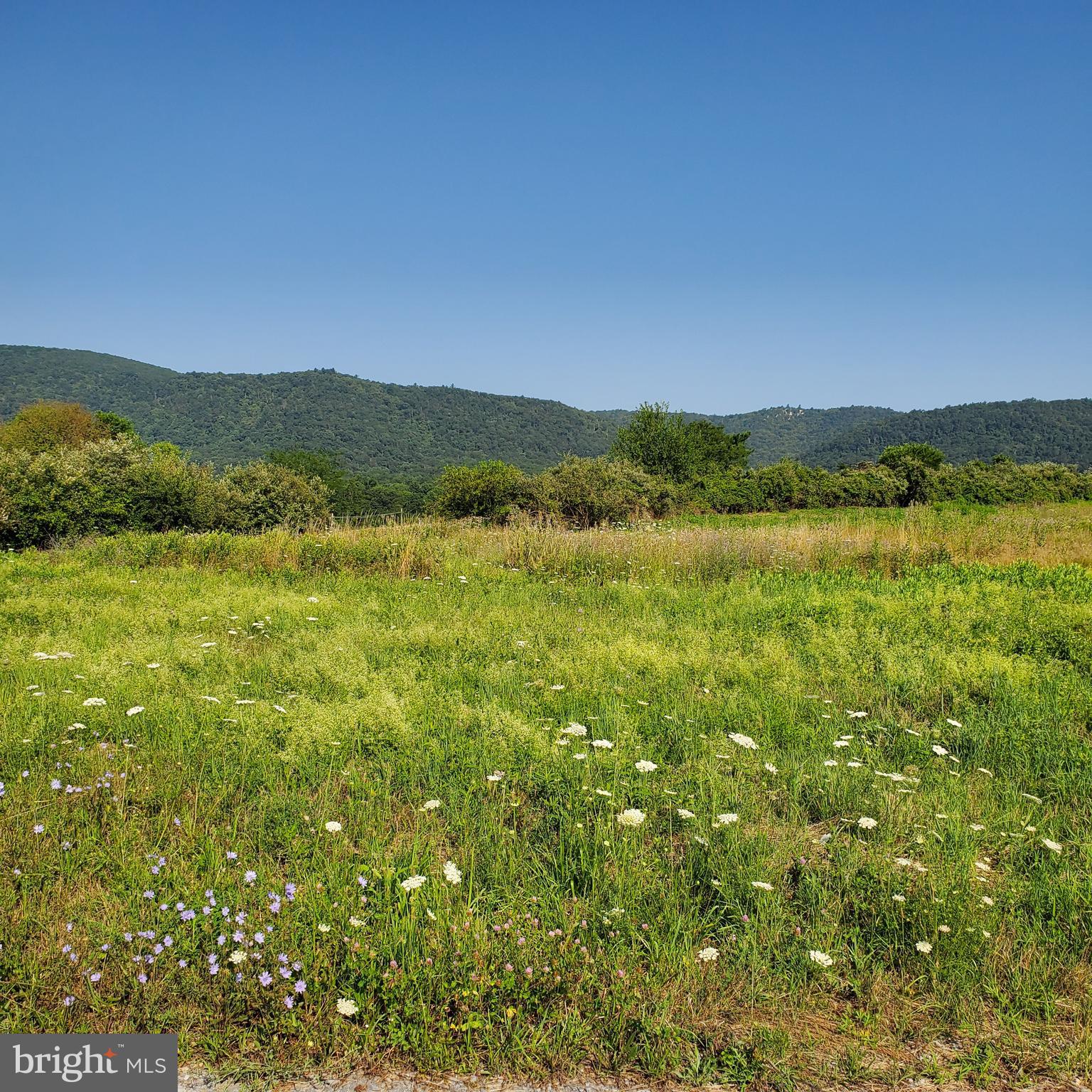 LOUDON'S VIEW - Land