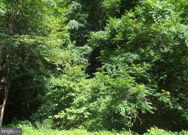 2.54 acres of wooded vacant land with a small stream & access to public water & public sewer.  Lot does provide a very private setting at end of dead end street, while being close to New Cumberland and quick access to the interstate and major highways.  Property was conveyed with corner marked in the field.  Fairvew Twp zoning officer confirmed that MOBILE HOMES AND DOUBLE WIDES ARE PERMITTED ON THIS LOT.  The property is on the LEFT side of the road, immediately after a tan ranch house (#687) with a carport on the right side of the house.  The property then runs along the roads for 324 ft.  Where the road turns and crosses the stream, that culvert is STILL on the property, providing access to both sides of the stream.  Look in DOCUMENTS for the property survey.