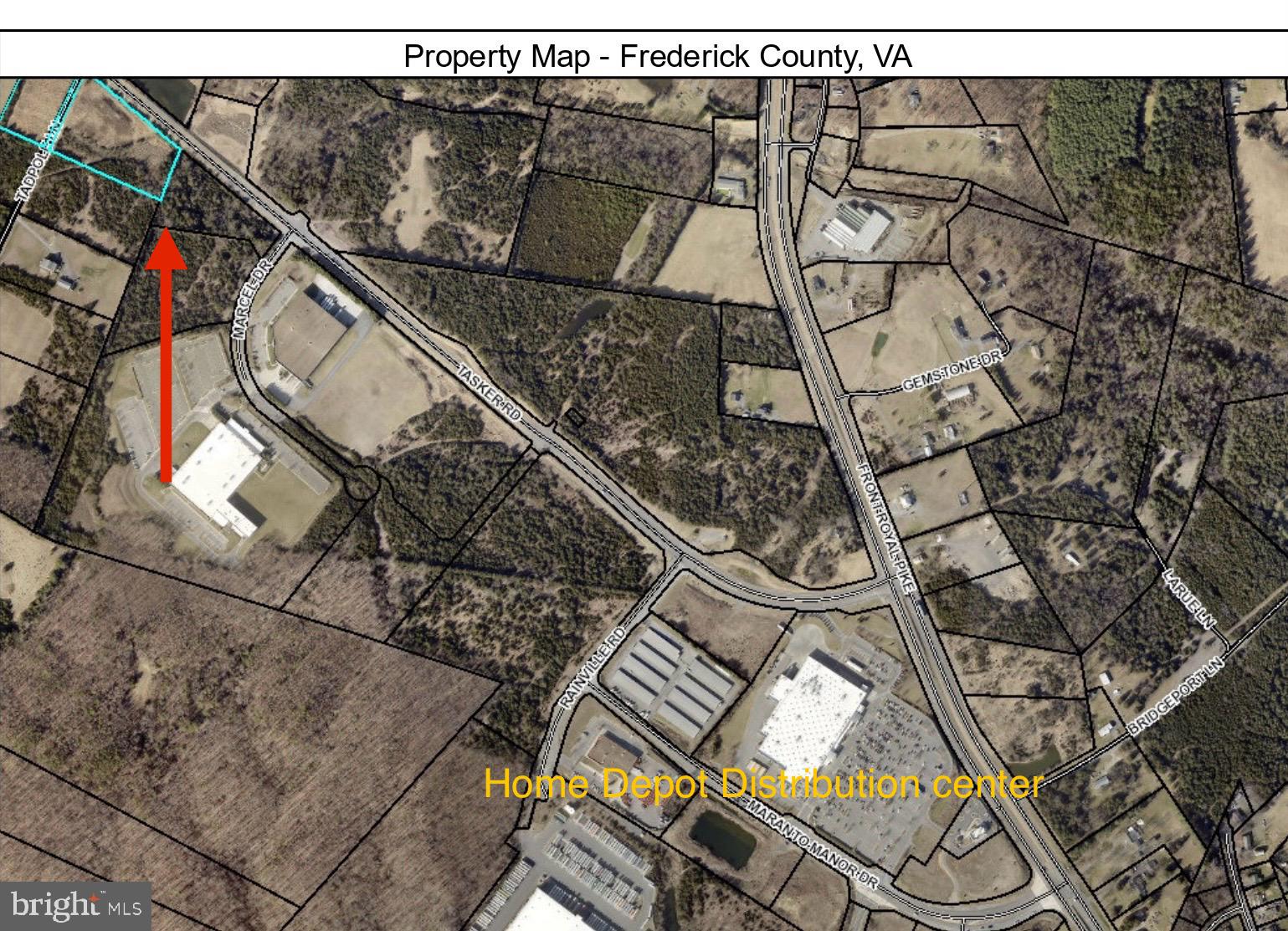 6.04 Acres, Zoned B2, Tasker Road Frontage! Located right by Home Depot Distribution Center in Stephens City. Purchaser to verify proximity/cost to bring in public water and sewer. County has verbally approved ministorage without requiring water/sewer (contact Agent for details). Only $165K+ acre! Super cheap, excellent topo! Asking $999,999. Make offer!