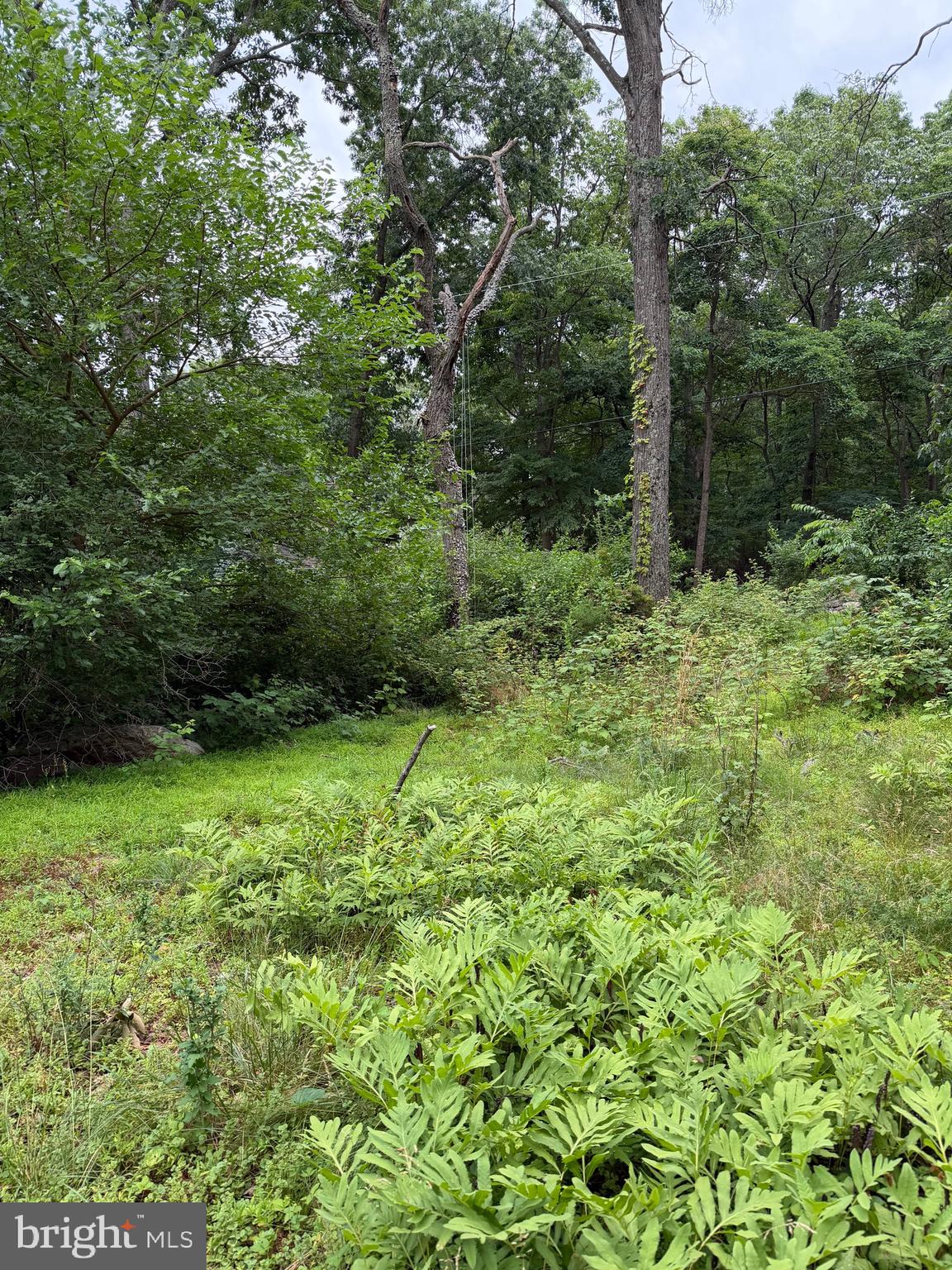 WILD ACRES - Residential