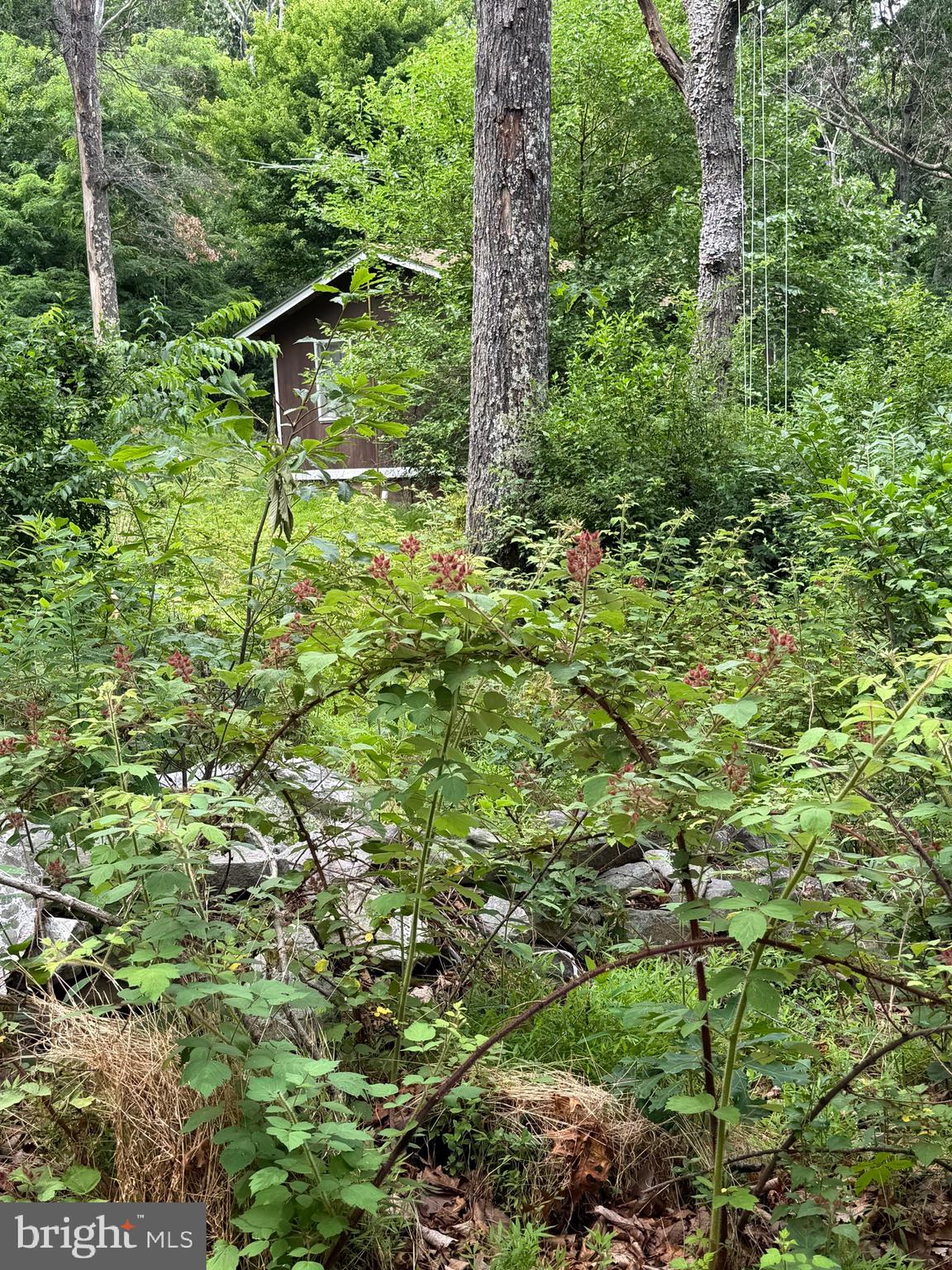WILD ACRES - Residential
