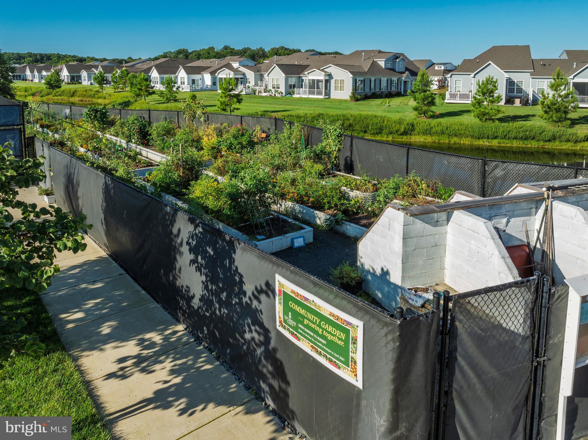 BAY BRIDGE COVE - Residential