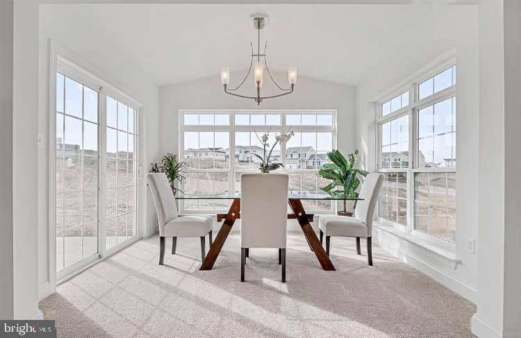 MEADOW LANE FARMS - Residential