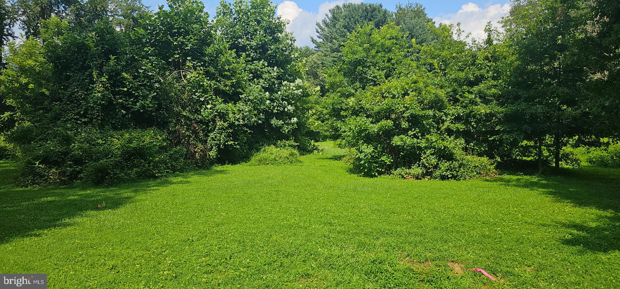 Use our plan or build your own! Cedar Knoll Builders will build you the home of your dreams! 
Sitting  back along paved driveway, the lot backs to open space. 1+acres with public water, sewage and gas. This is the one you have been waiting for! Quality comfort and room to roam.