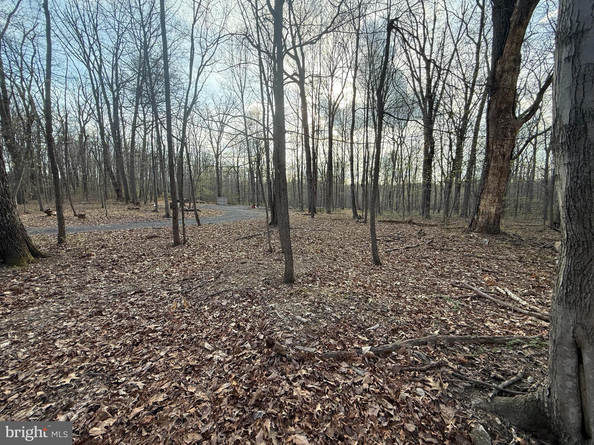 Build the home you’ve always envisioned on this exceptional 5.92-acre parcel, ideally situated in Western Howard County within a highly sought-after, top-rated school district. This expansive property offers the perfect balance of privacy, space, and convenience—providing a rare opportunity for both custom home construction or a strategic investment. Surrounded by natural beauty, the lot presents a serene setting while still maintaining easy access to major commuter routes, shopping, dining, and everyday amenities. With ample acreage, there is plenty of room to design a private estate, incorporate outdoor living spaces, or explore additional possibilities based on your vision.
Whether you’re looking to build your forever home or secure a valuable piece of land in a desirable location, this property offers endless potential.