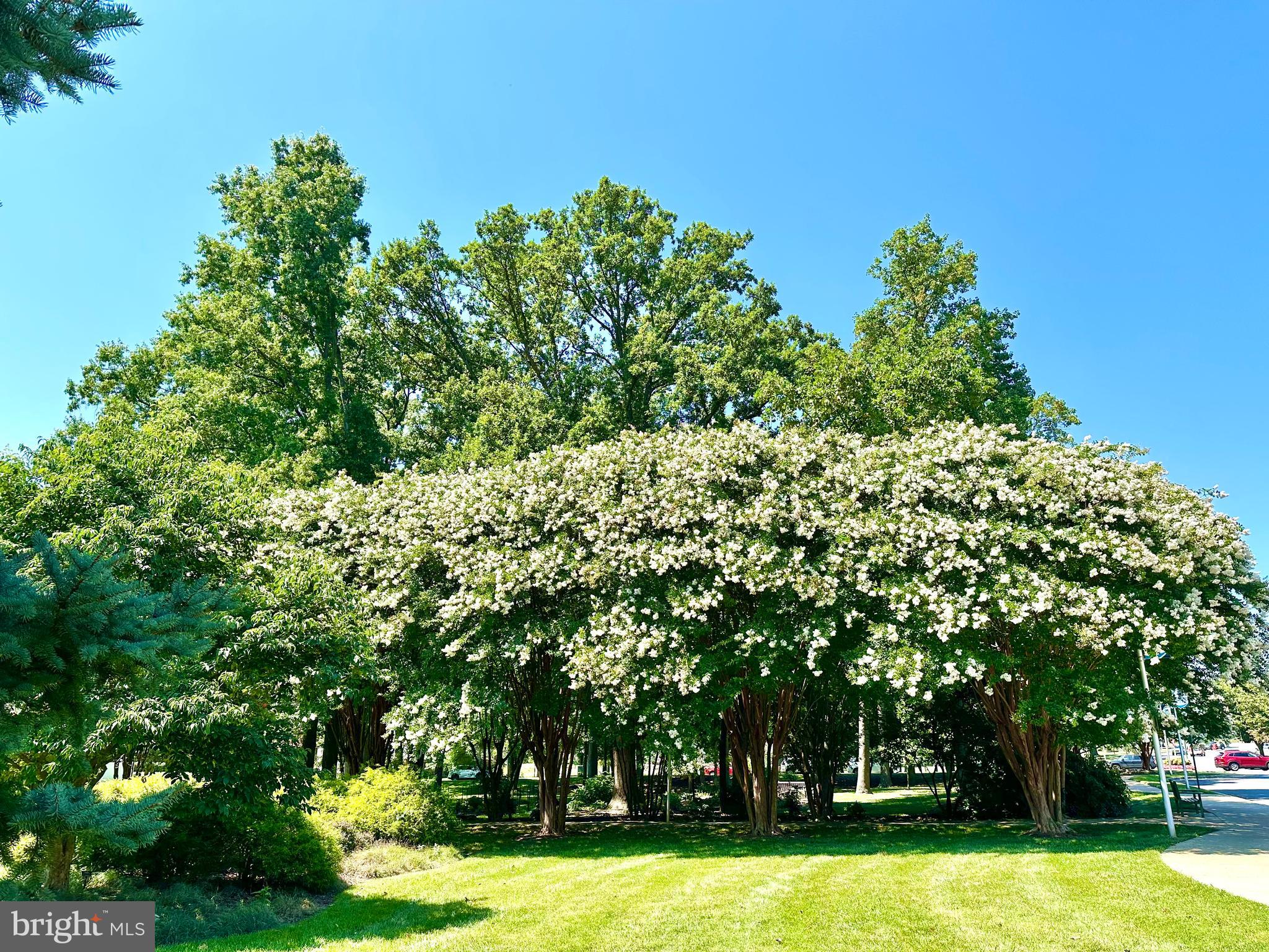 LEISURE WORLD - Residential Lease