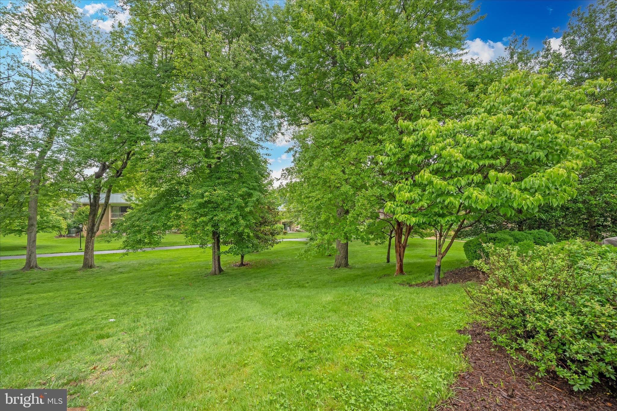 MONTGOMERY MUTUAL COOP - Residential