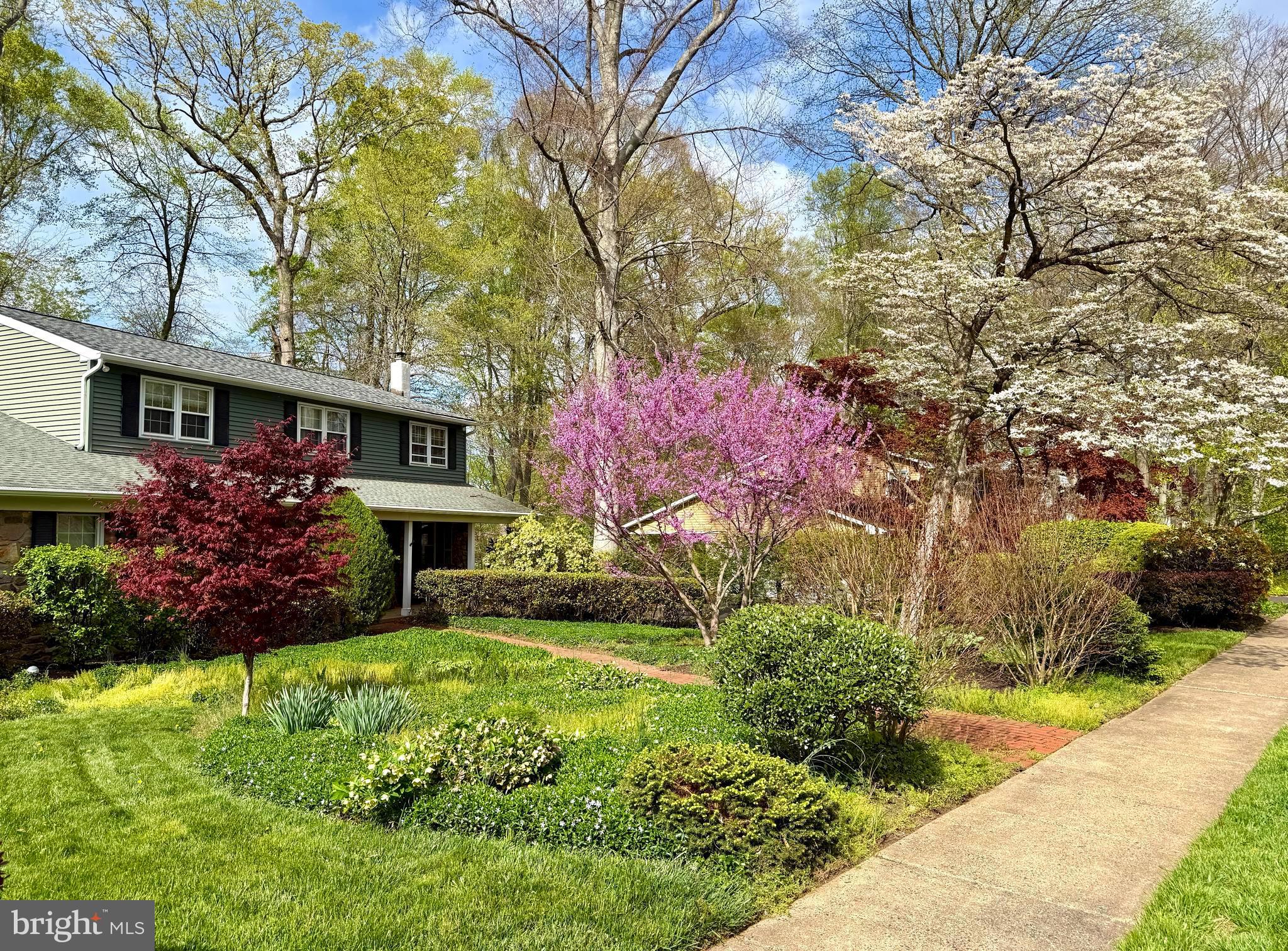 SANDY RUN - Residential