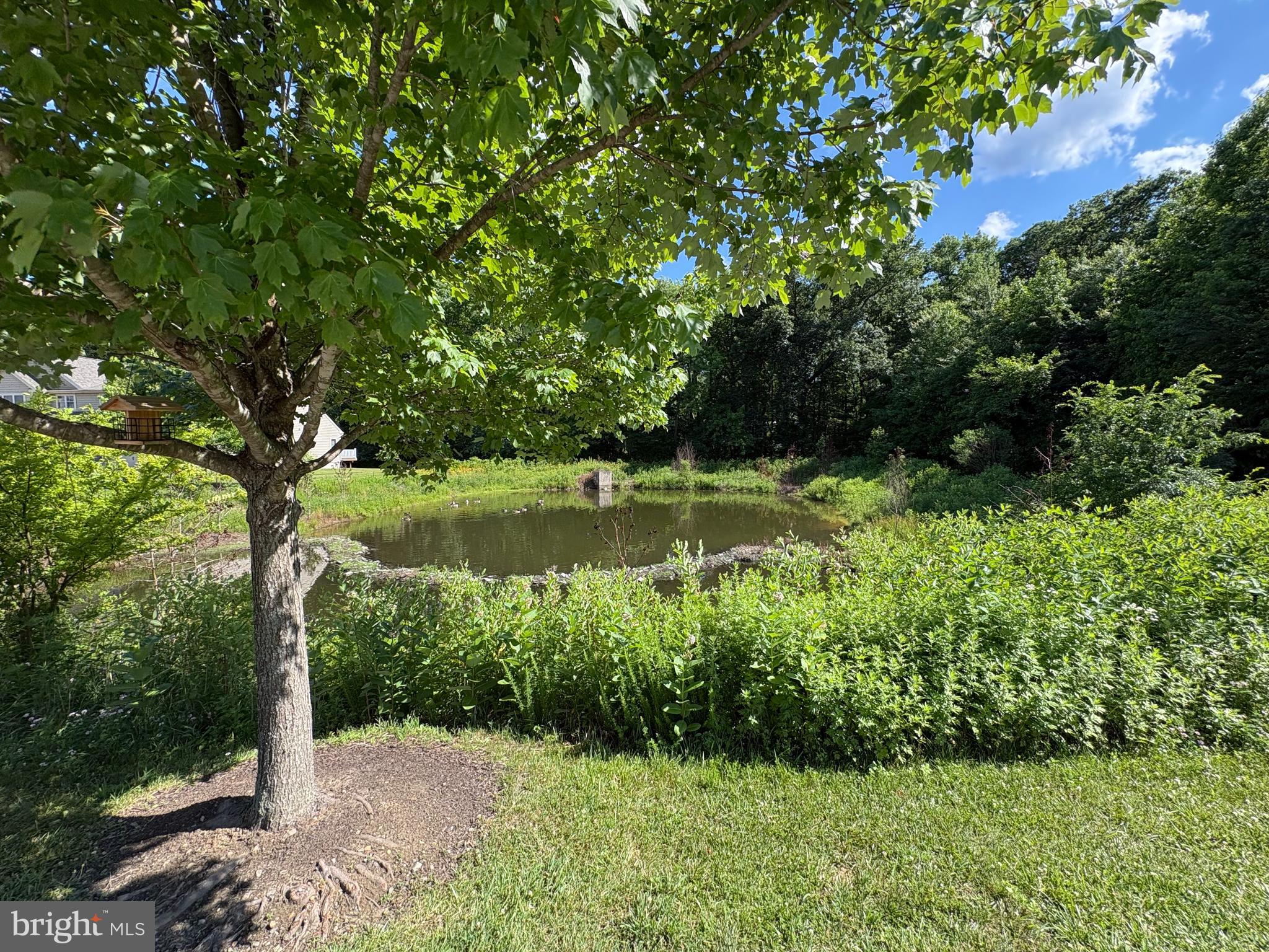 VILLAGE OF FOUNTAINVIEW - Residential