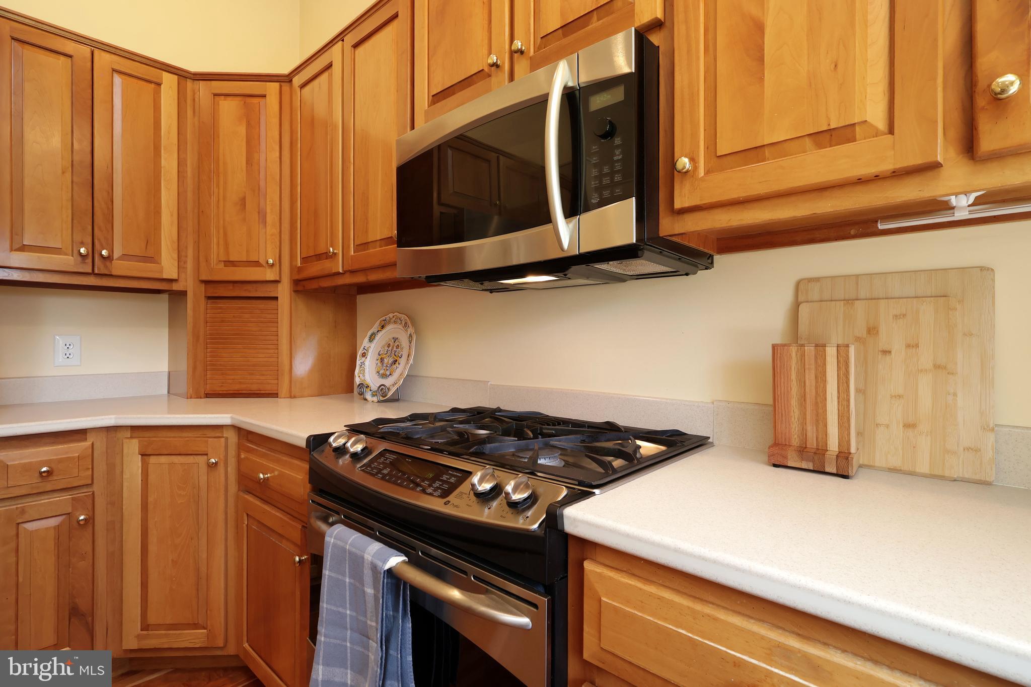 TEABERRY RIDGE - Residential