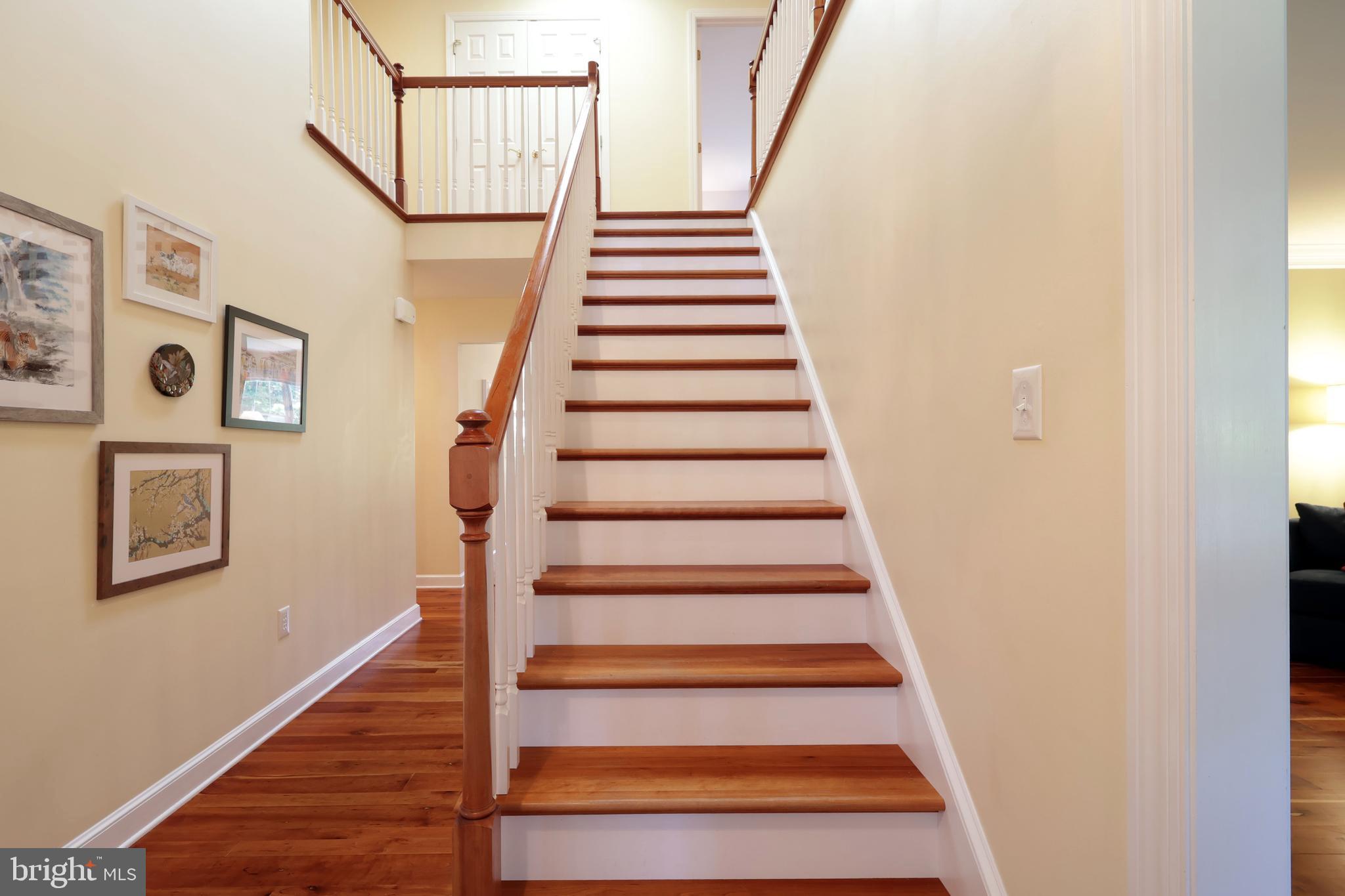 TEABERRY RIDGE - Residential
