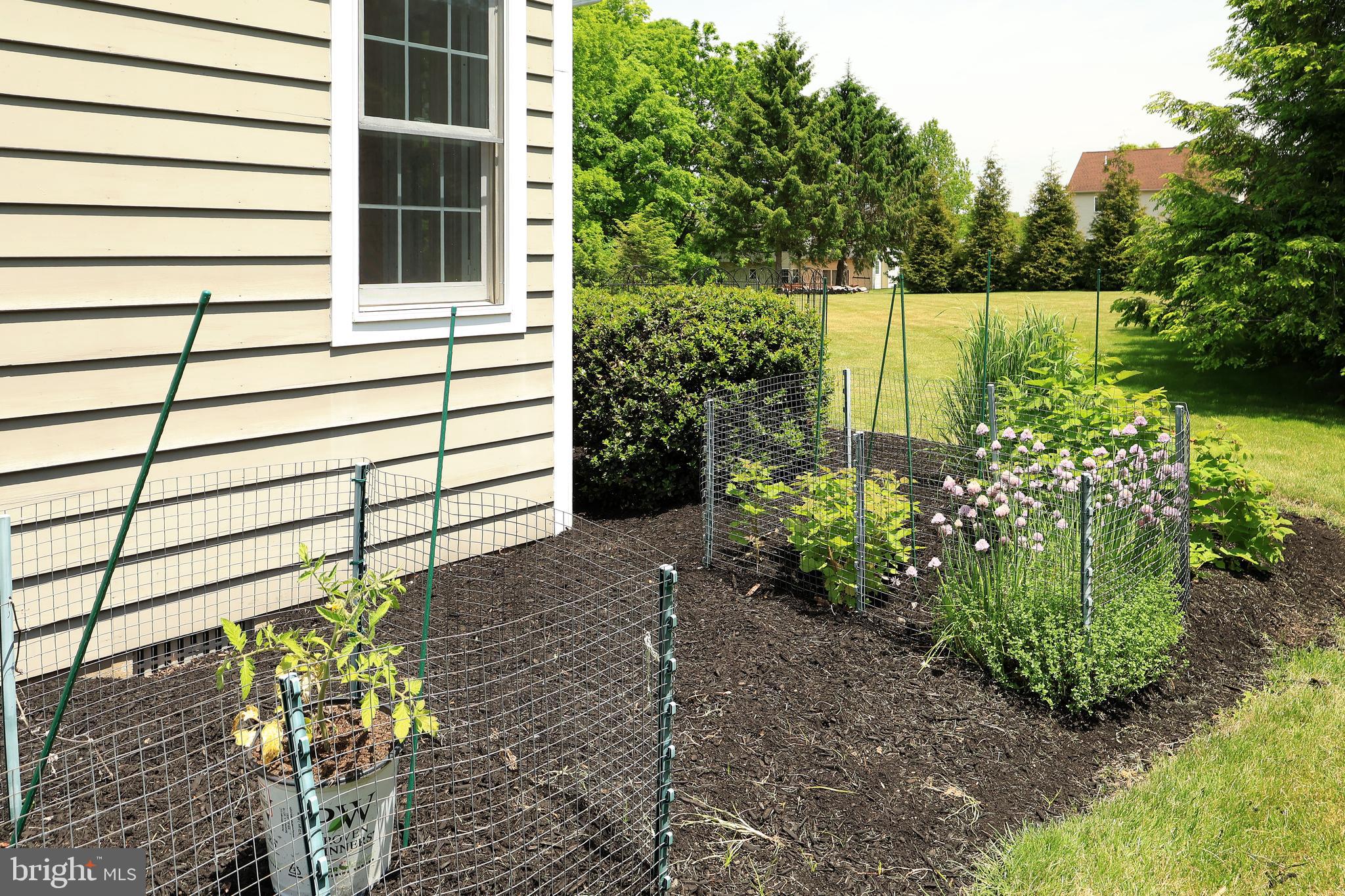TEABERRY RIDGE - Residential