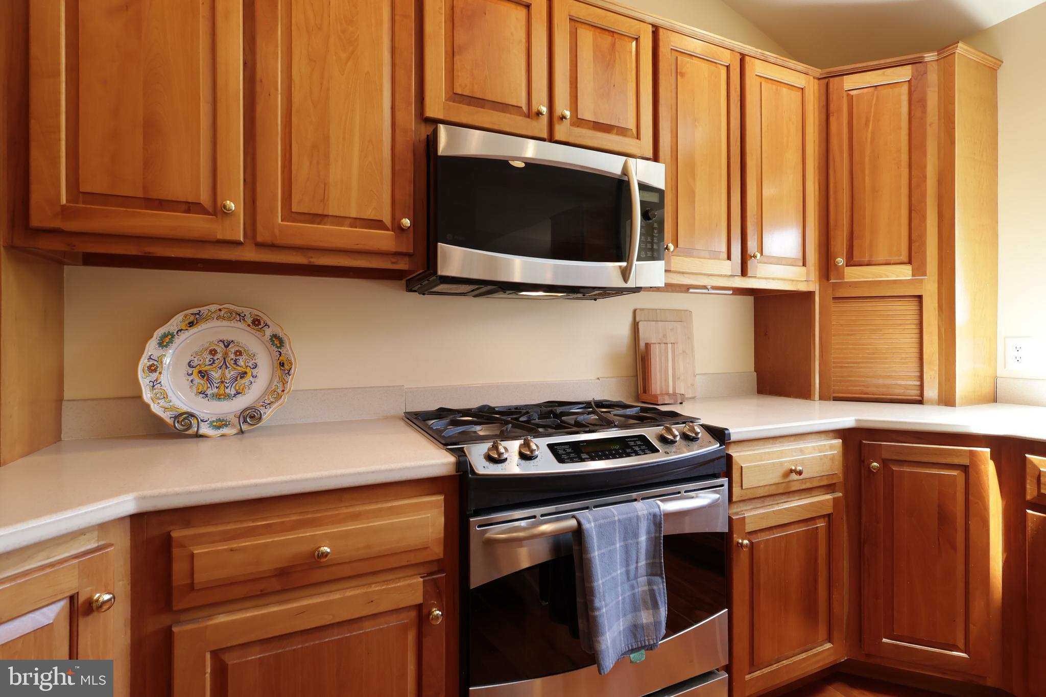 TEABERRY RIDGE - Residential