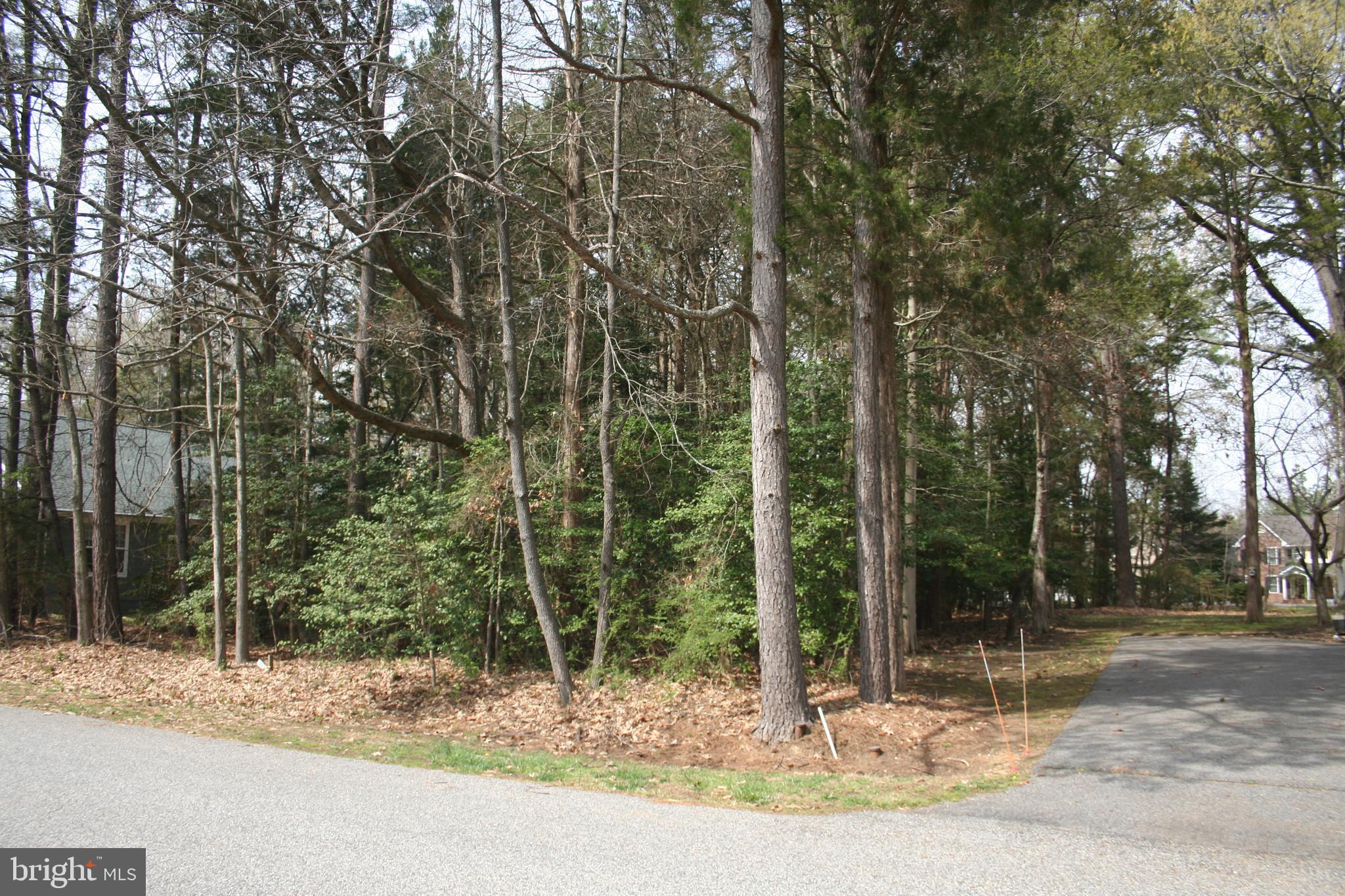 SWAN POINT SUB - Land