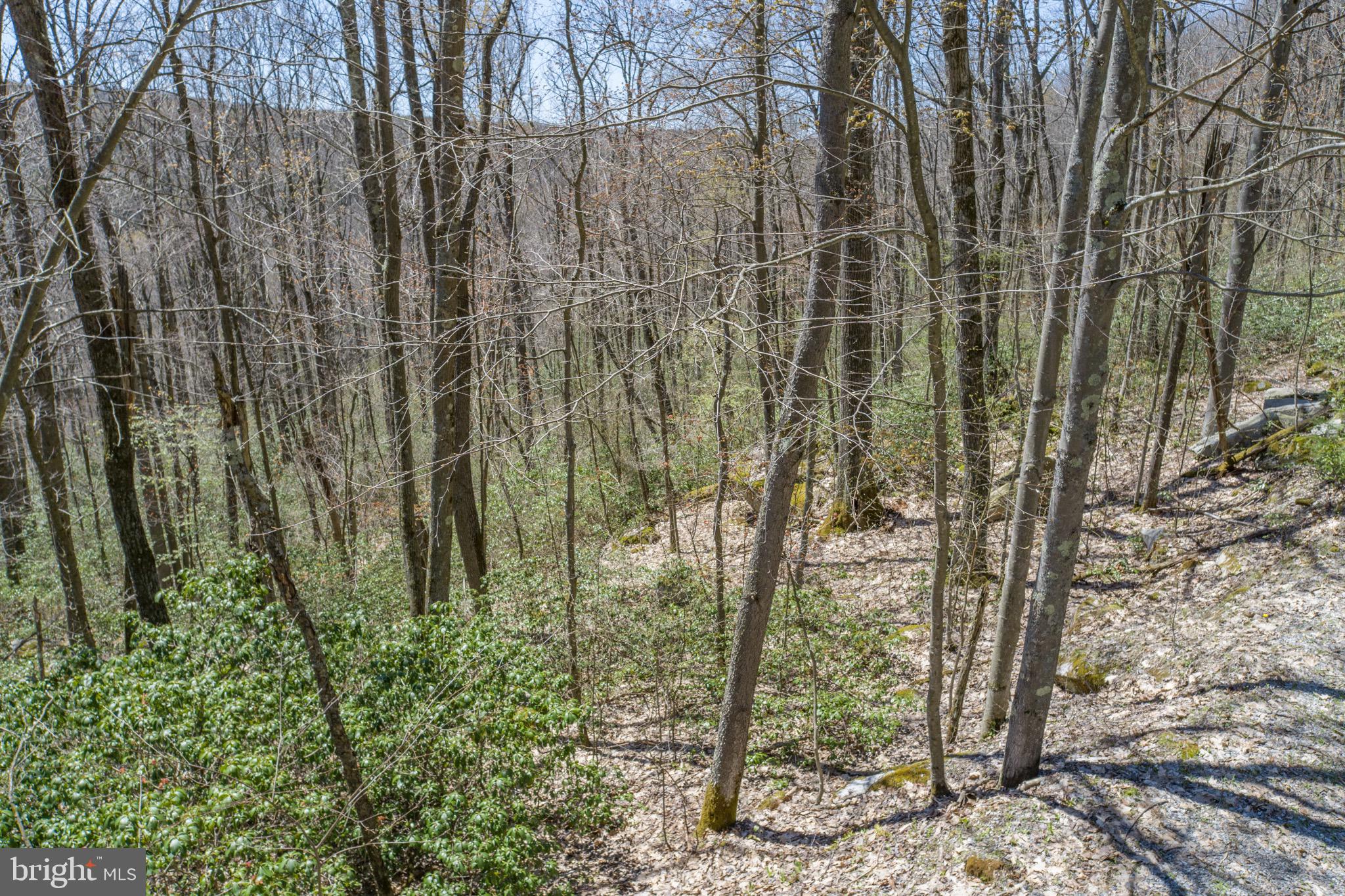 PINEY MOUNTAIN CORP - Land
