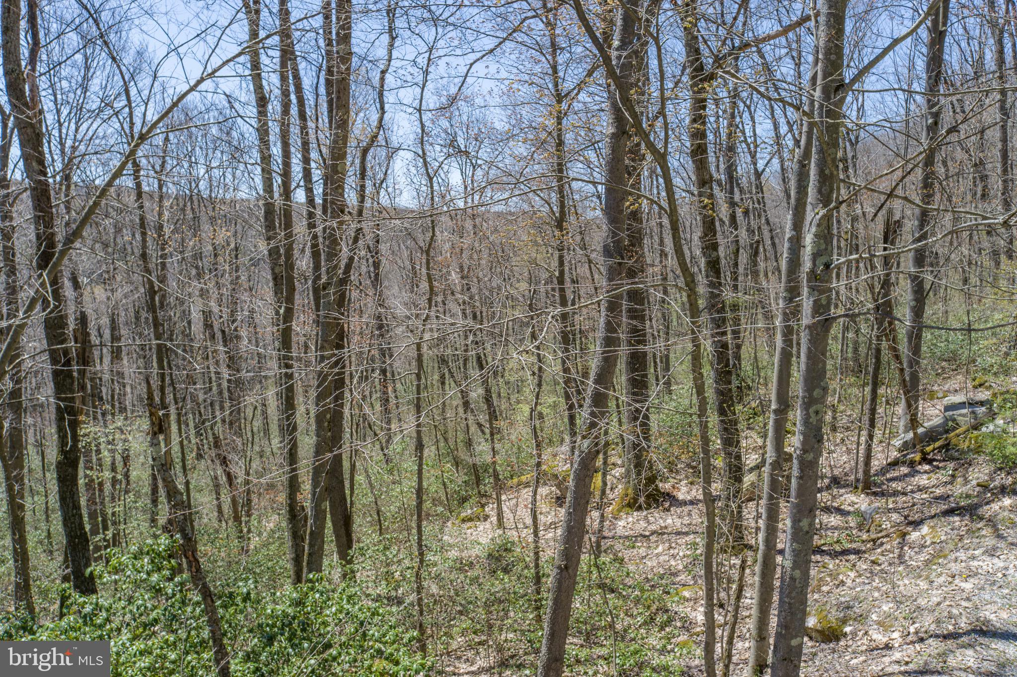 PINEY MOUNTAIN CORP - Land