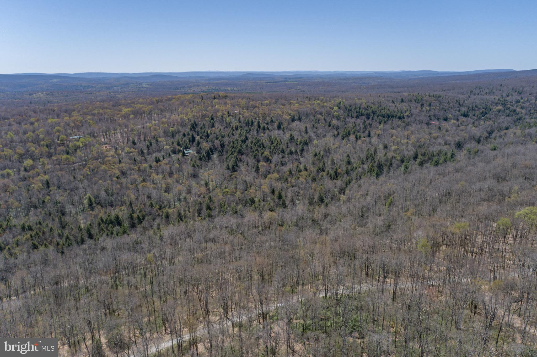 PINEY MOUNTAIN CORP - Land