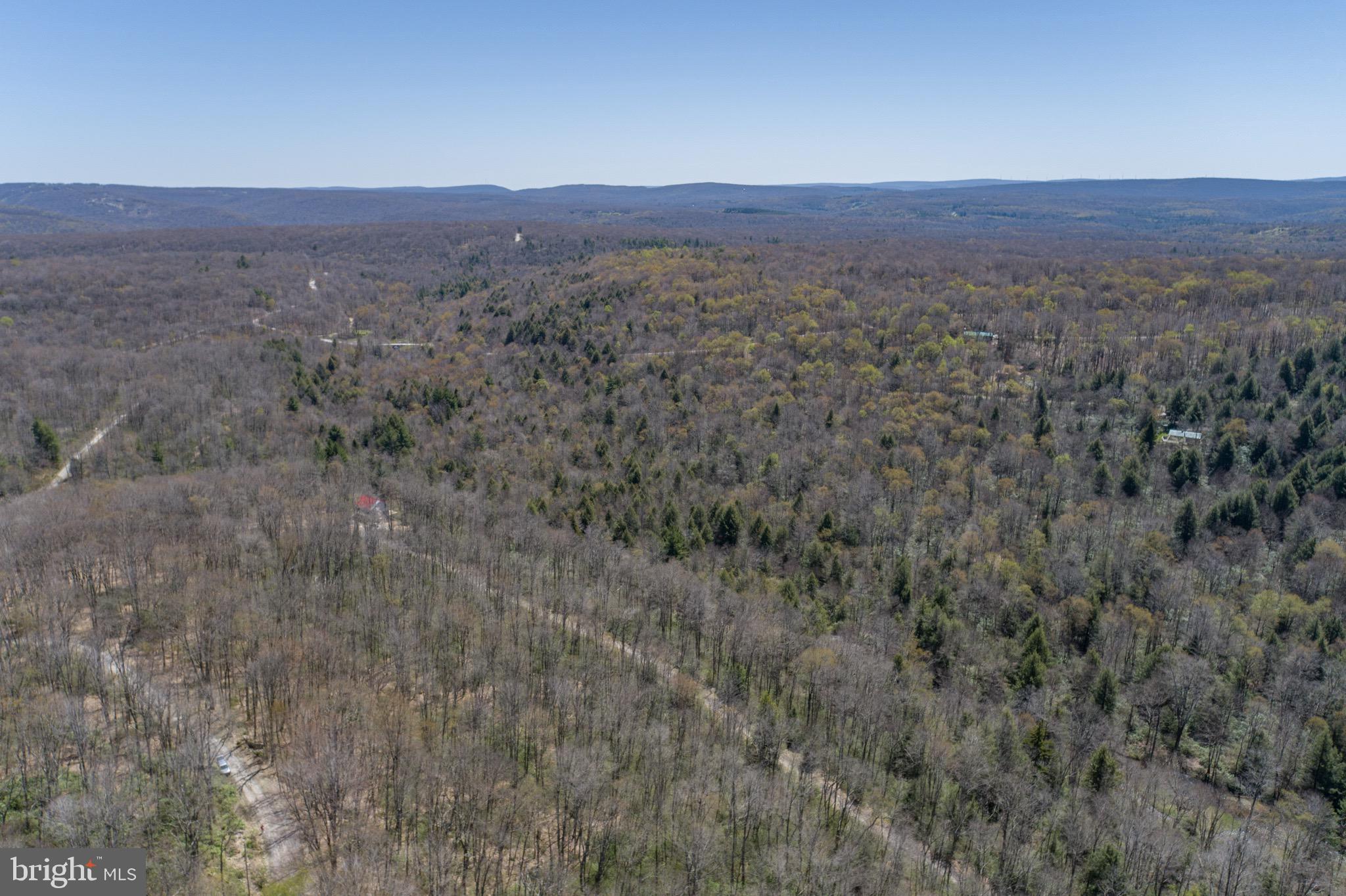 PINEY MOUNTAIN CORP - Land