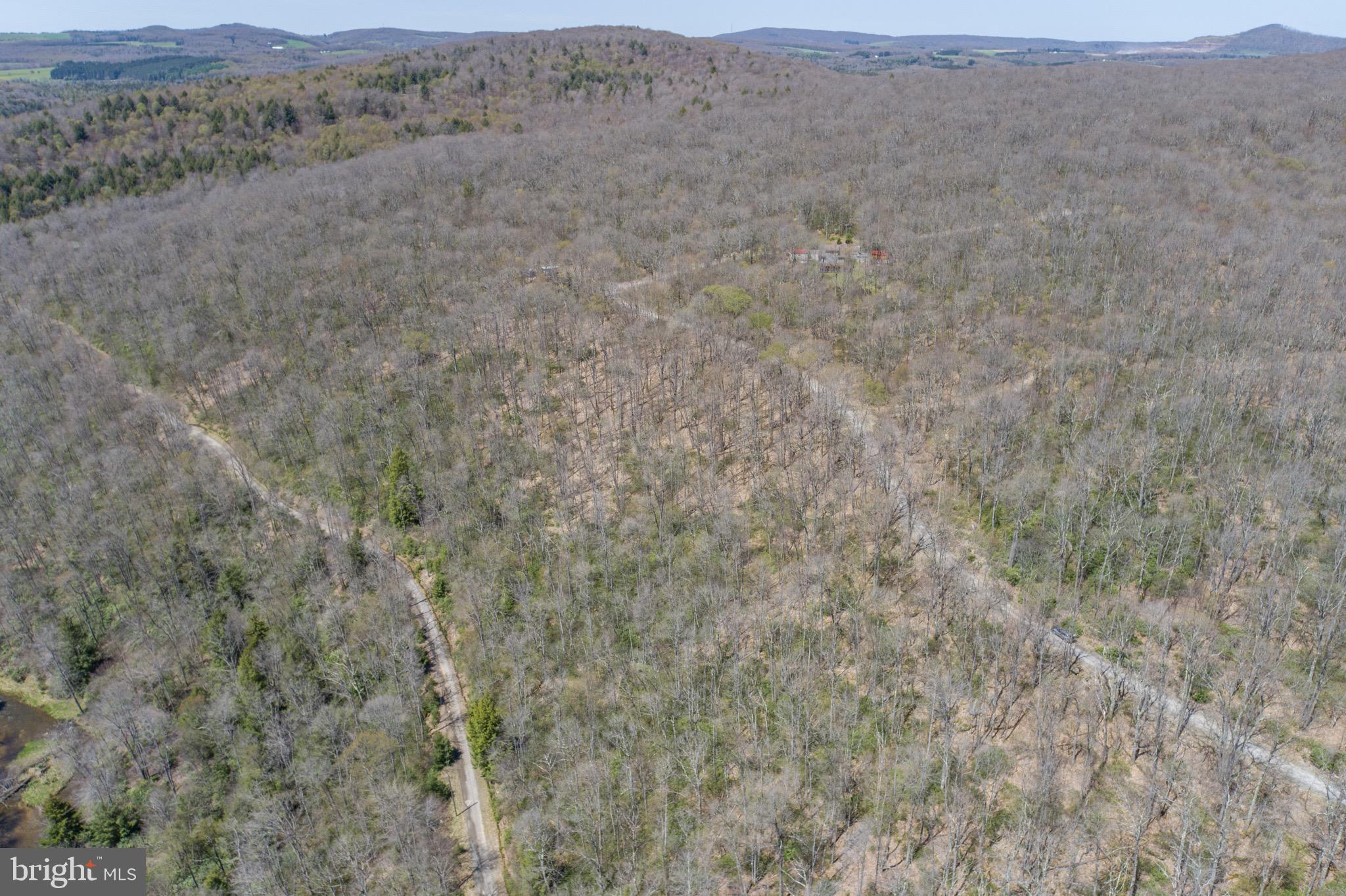 PINEY MOUNTAIN CORP - Land
