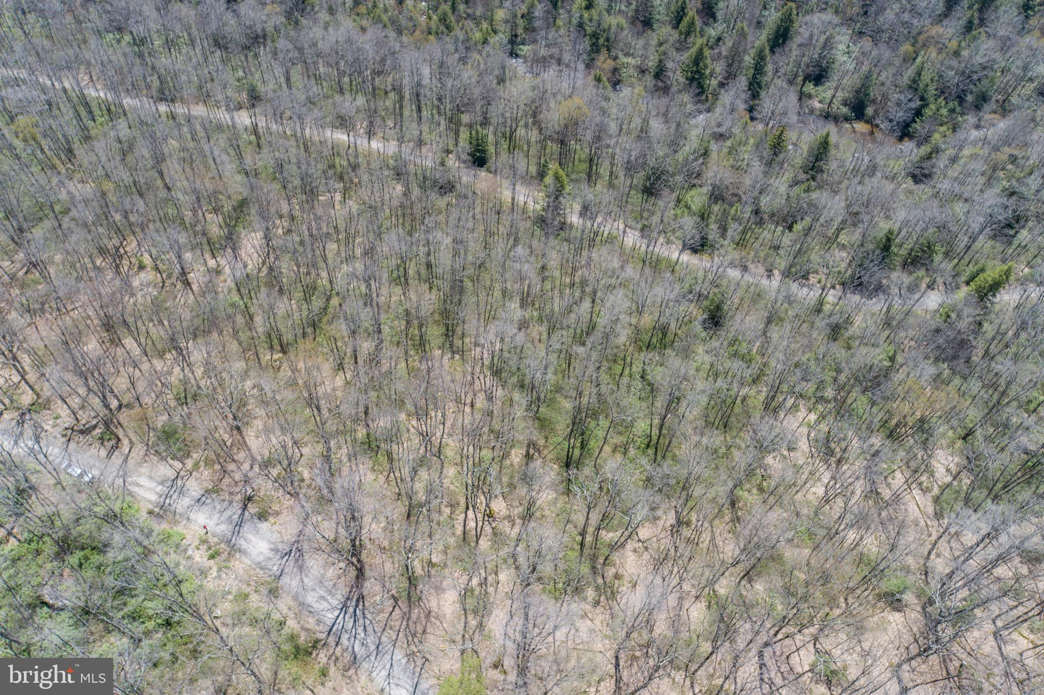 PINEY MOUNTAIN CORP - Land
