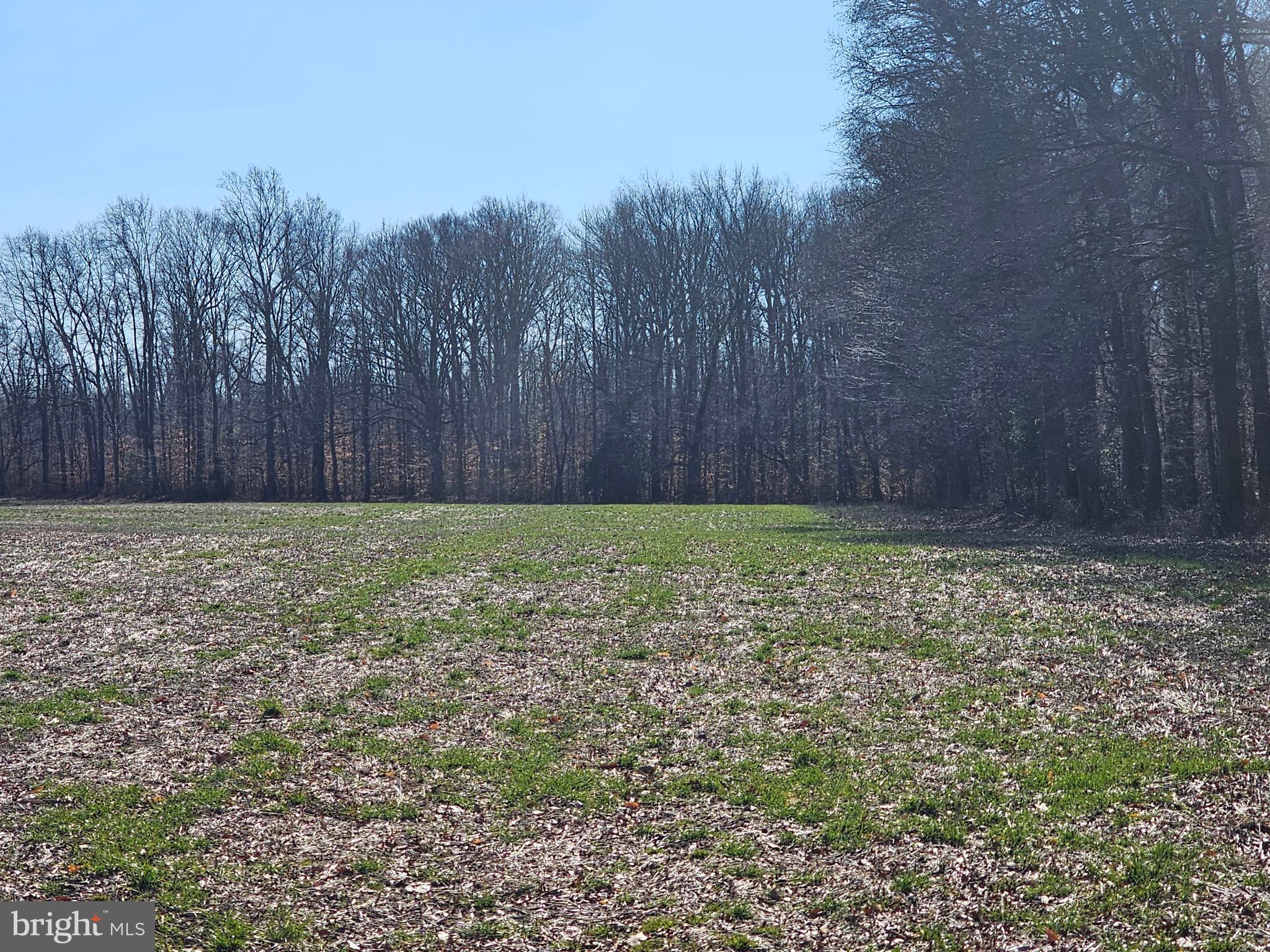 NONE AVAILABLE - Farm