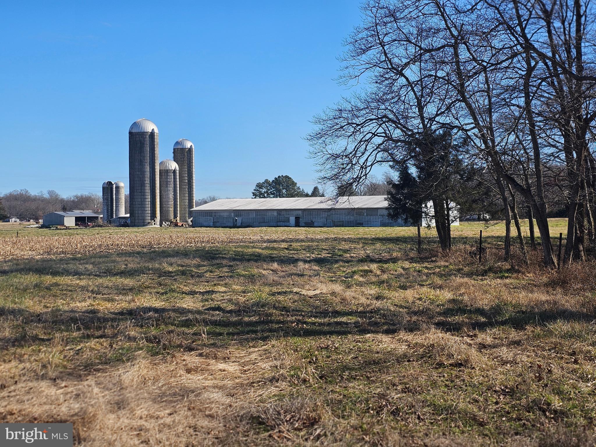 NONE AVAILABLE - Farm