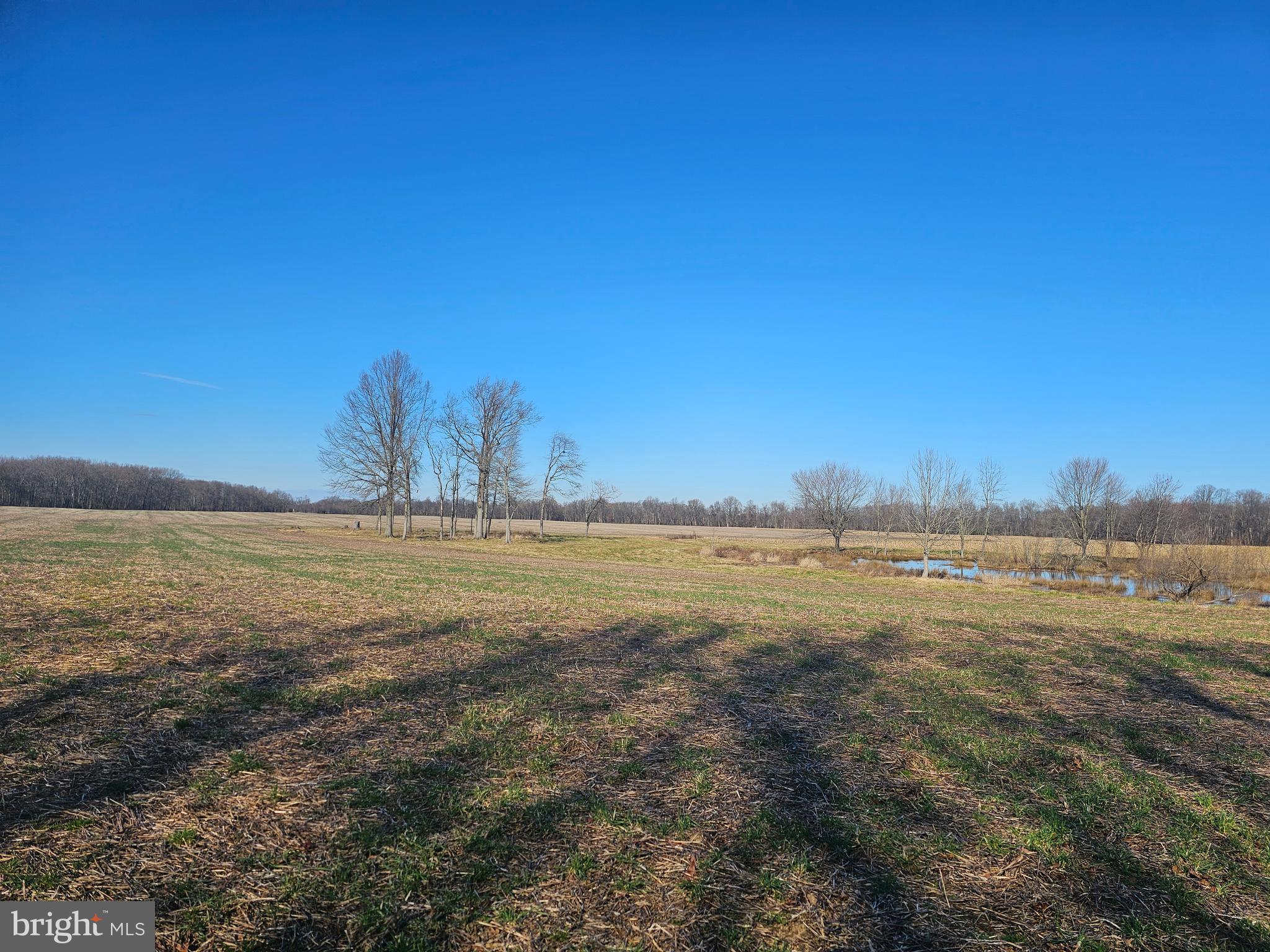 NONE AVAILABLE - Farm