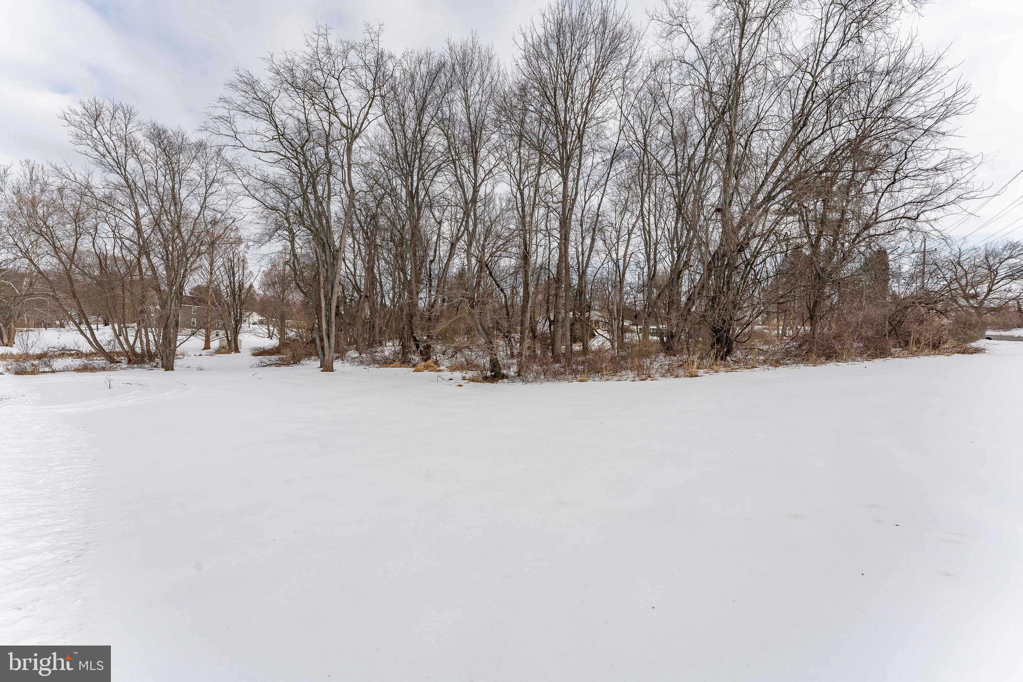 Welcome to 1438 Williamsburg Drive, a rare opportunity to own 1.3 acres of level, corner lot land in the highly desirable Pocopson Creek community of West Chester. Located within the sought-after Unionville-Chadds Ford School District, this parcel offers an exceptional setting for a future custom home or long-term investment. The lot carries a separate tax ID from the residence at the same address. Enjoy the peace and privacy of a residential setting while remaining just minutes from local shops, farmers markets, and restaurants, with a short drive to downtown West Chester. Opportunities like this—combining location, school district, and usable land—are increasingly rare. Don’t miss your chance to secure a prime piece of Chester County real estate.