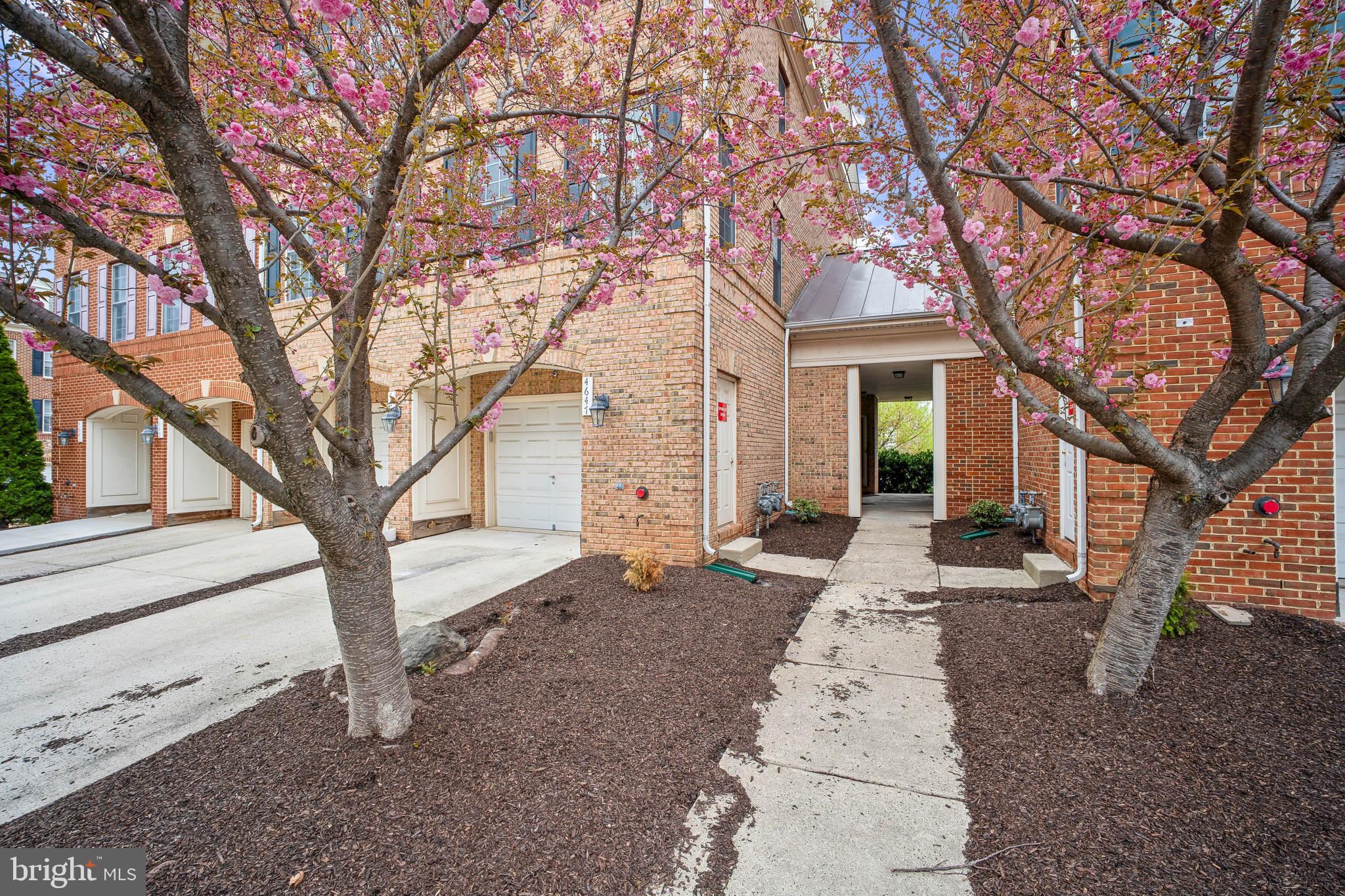 WILLOW OAKS - Residential Lease