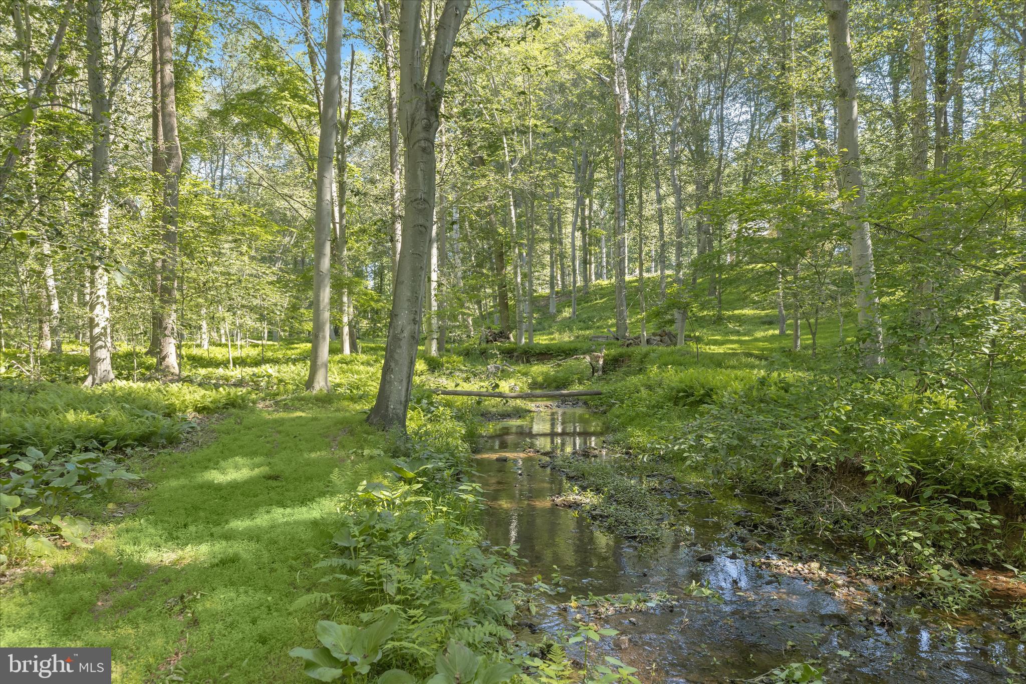 TODD LAKES - Residential