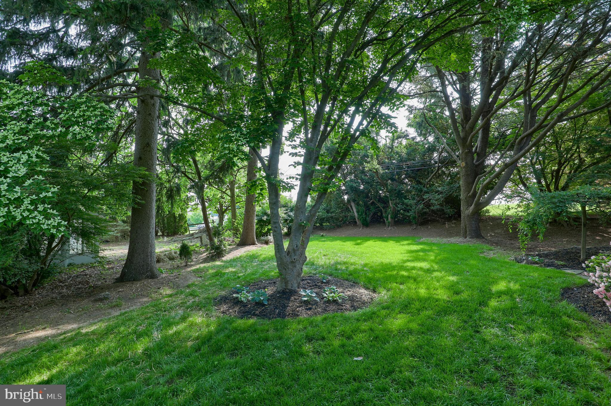 HAMILTON PARK - Residential