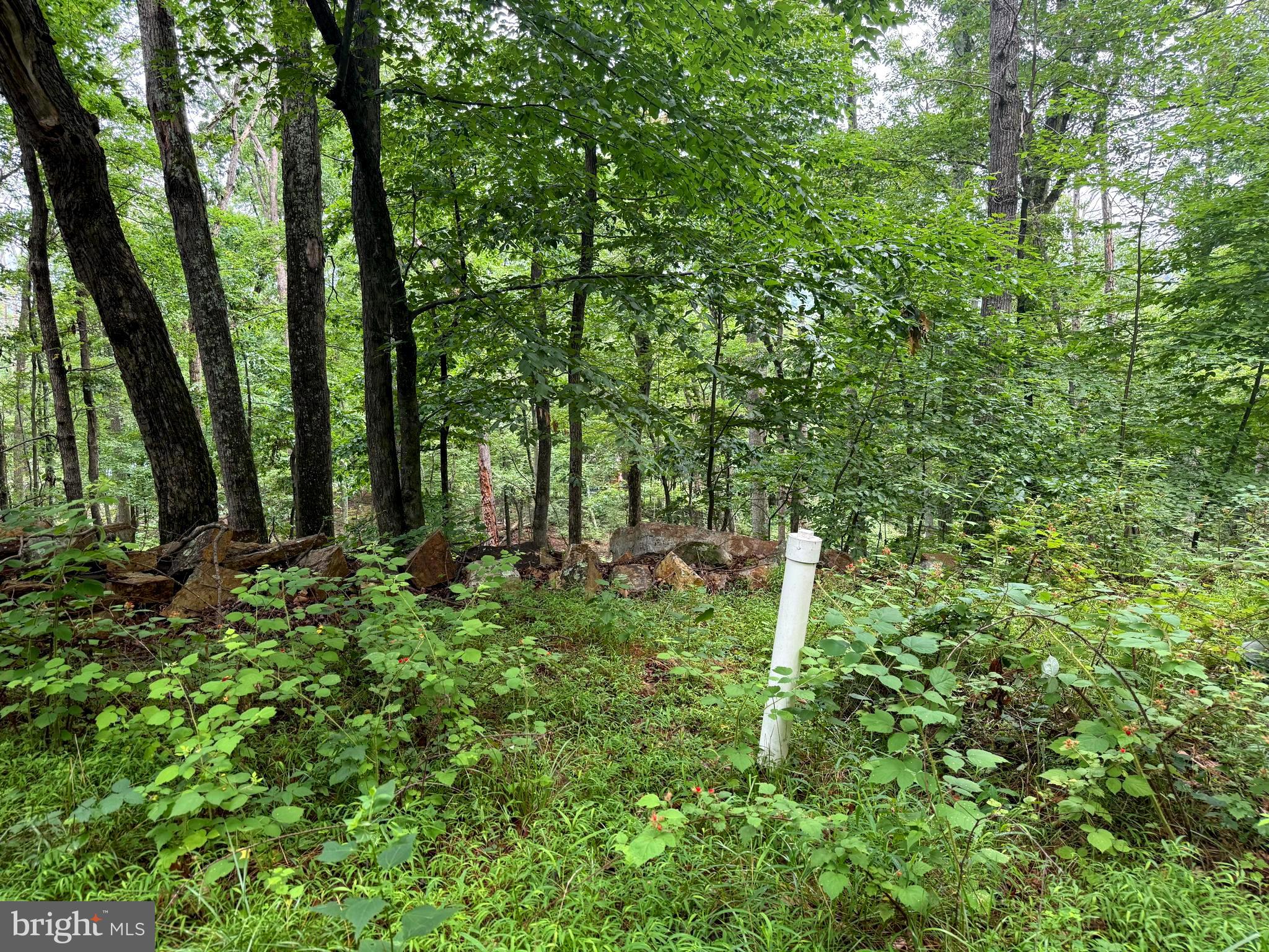 CABIN AT CAPON BRIDGE - Land