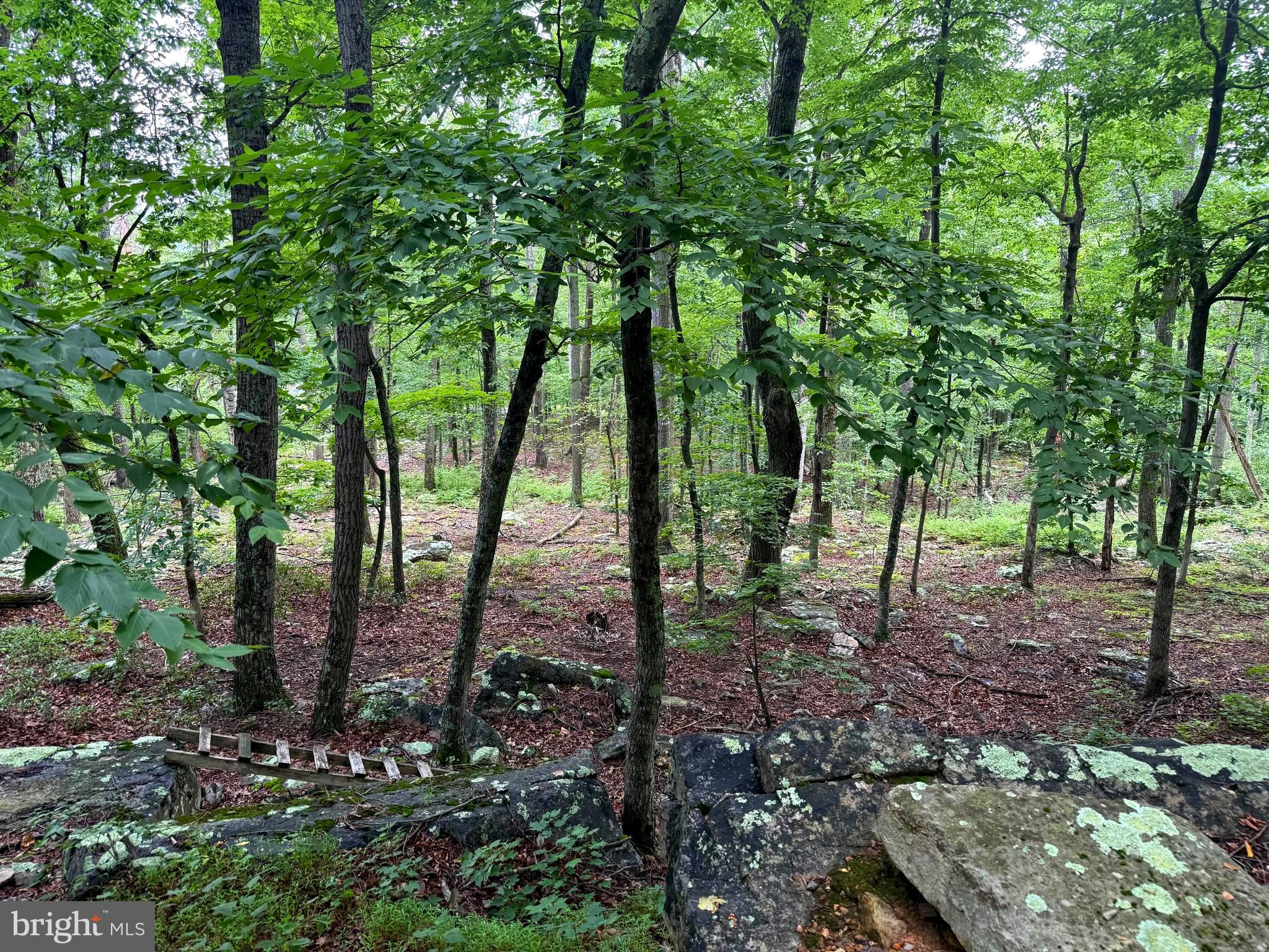 CABIN AT CAPON BRIDGE - Land